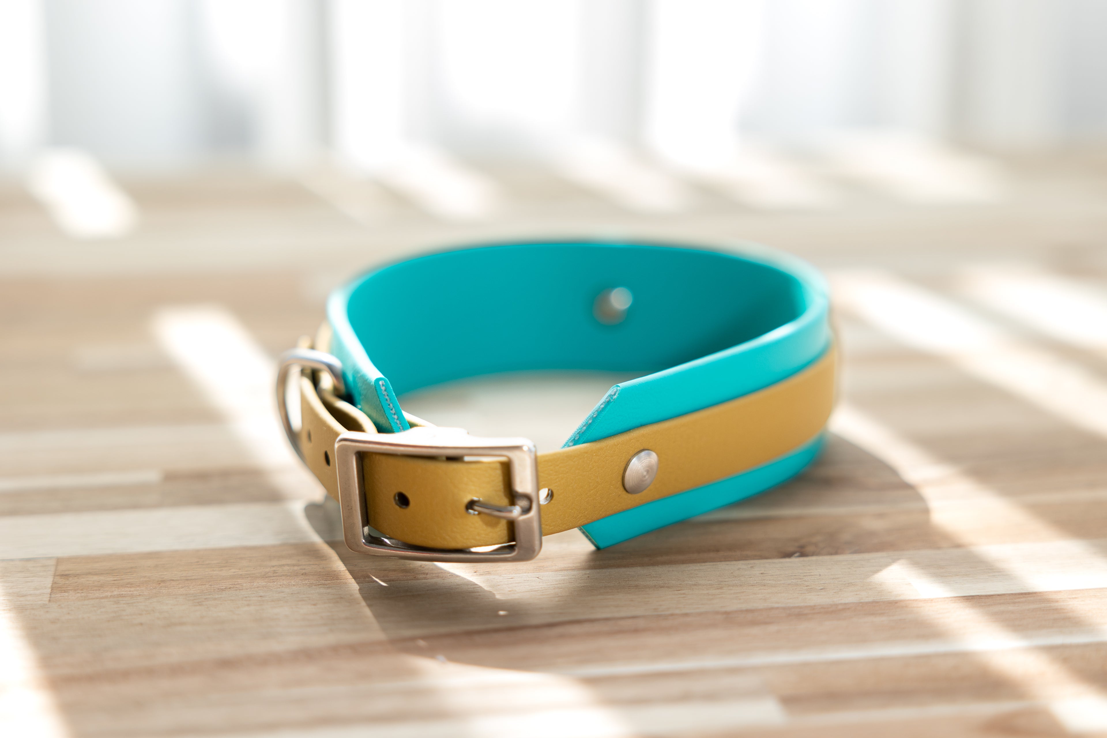 Ridge Biothane Collar - Turquoise and Gold