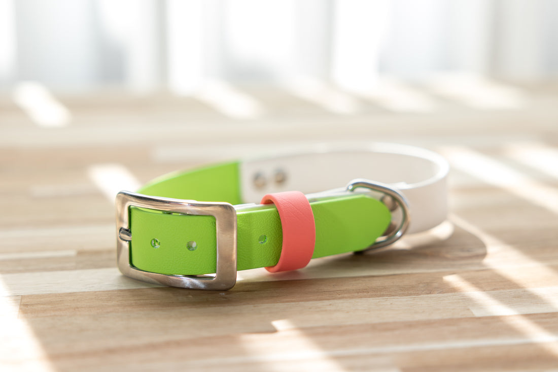 Three tone Biothane Collar - Apple Green, White and Coral
