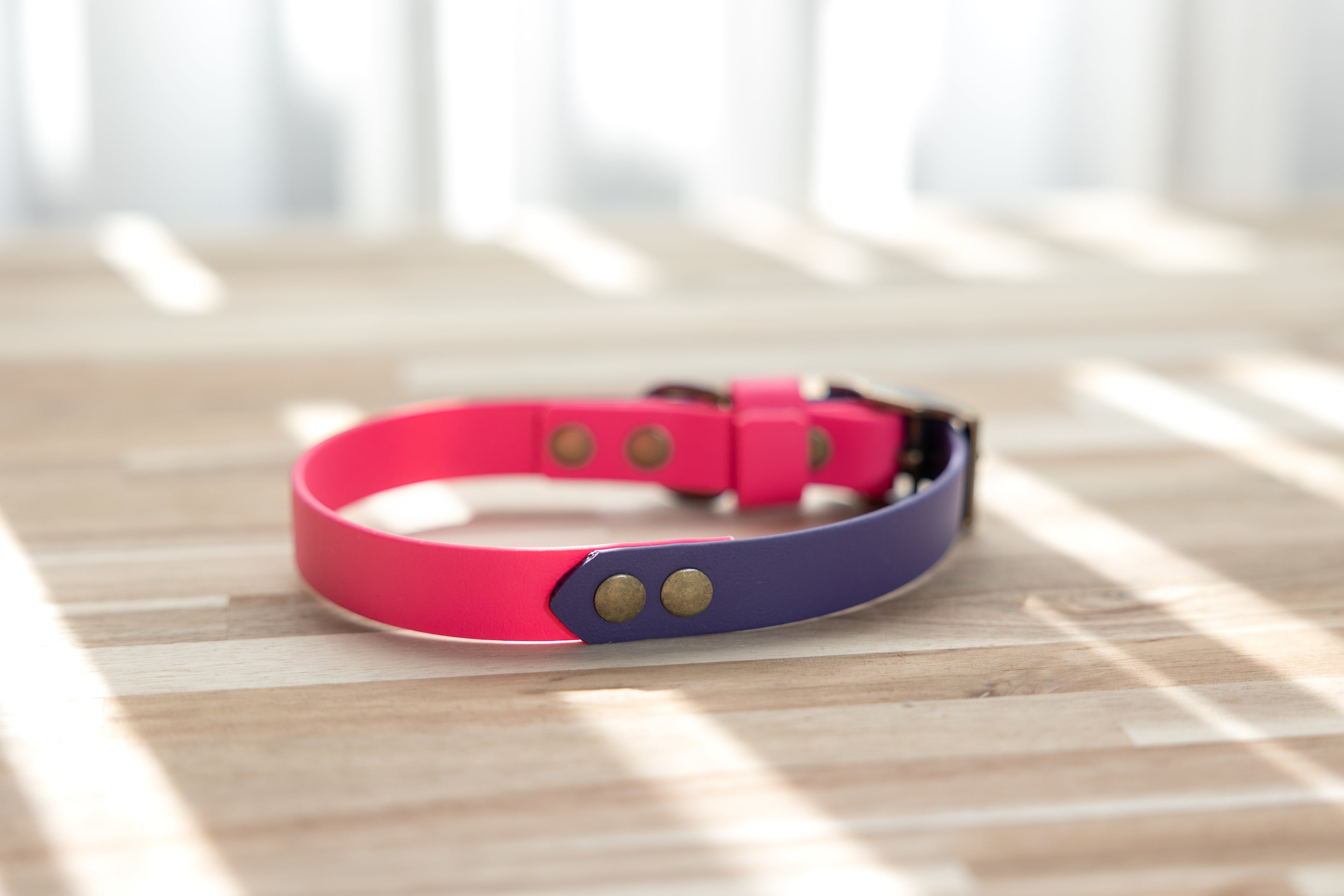 Two Tone Biothane Collar - Passion Pink and Purple