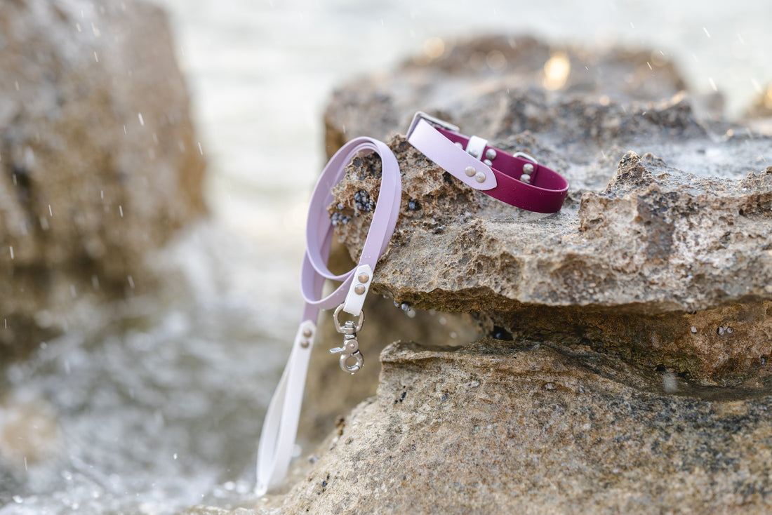 Pastel Biothane Lead