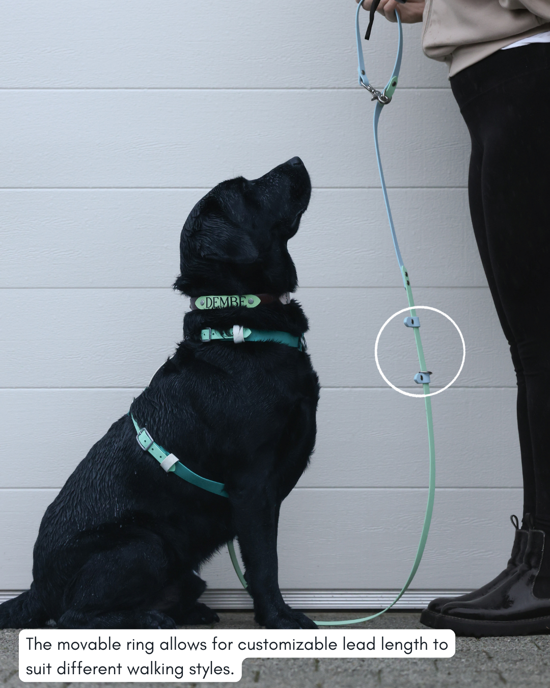 5 in 1 Multifunctional BioThane Dog Lead - Design Your Own