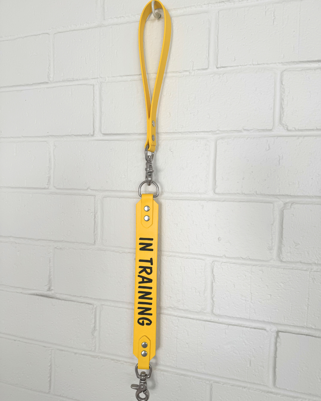 Traffic lead and lead extender bundle