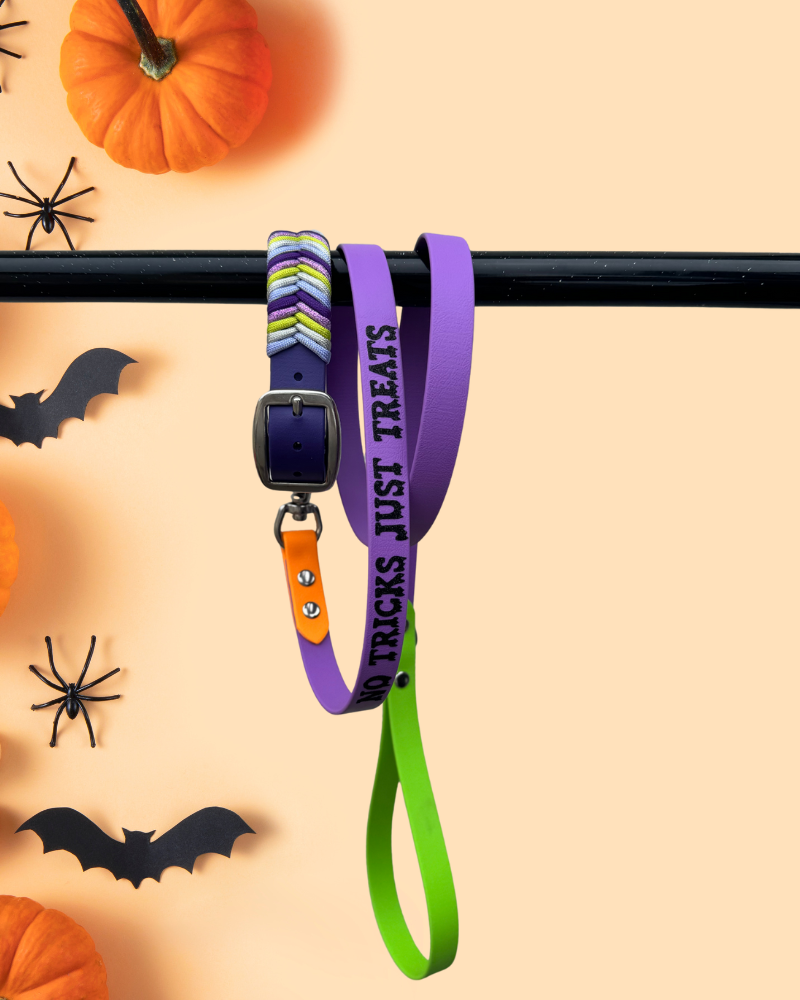 Wicked Whispers Collar