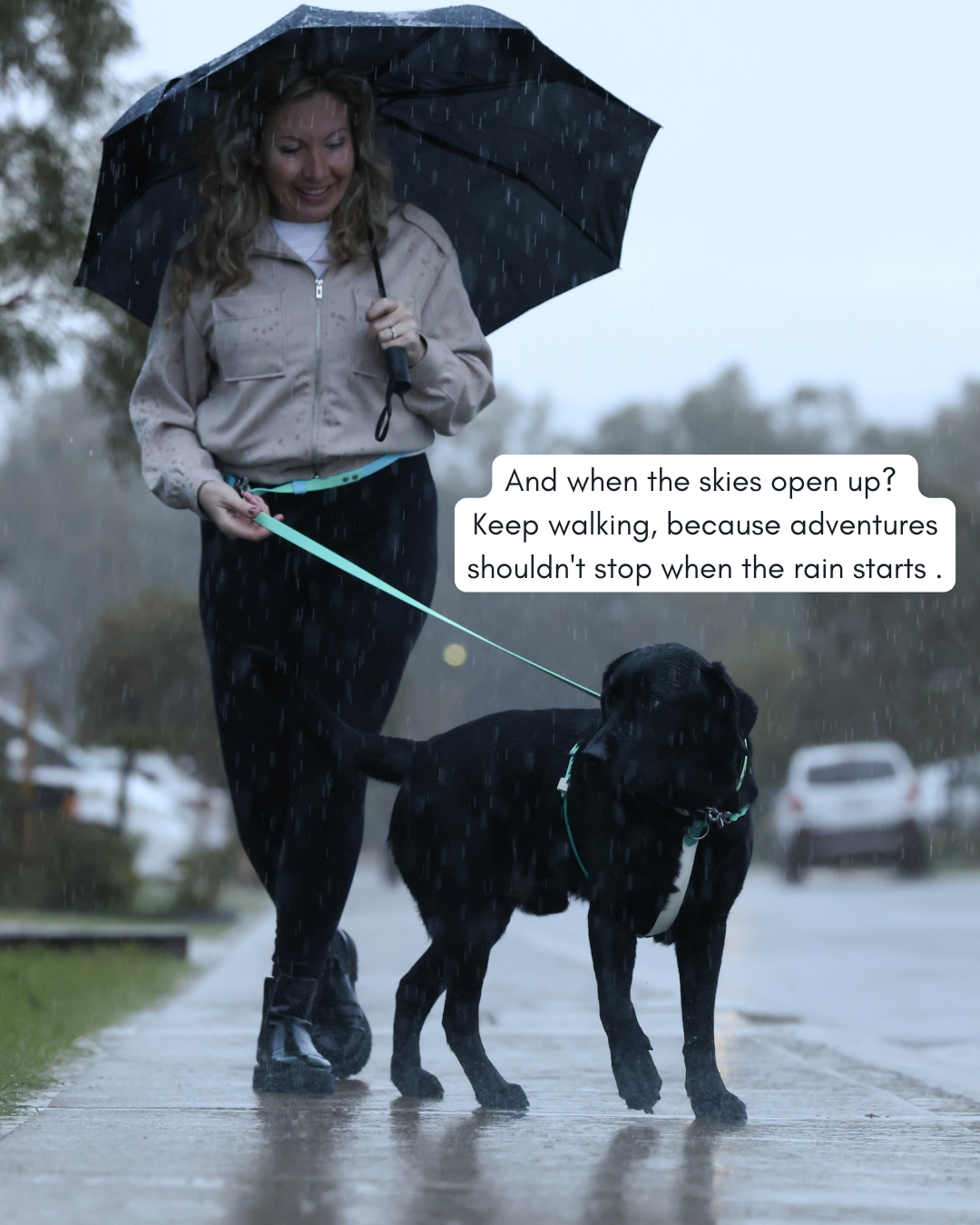 5 in 1 Multifunctional BioThane Dog Lead - Design Your Own
