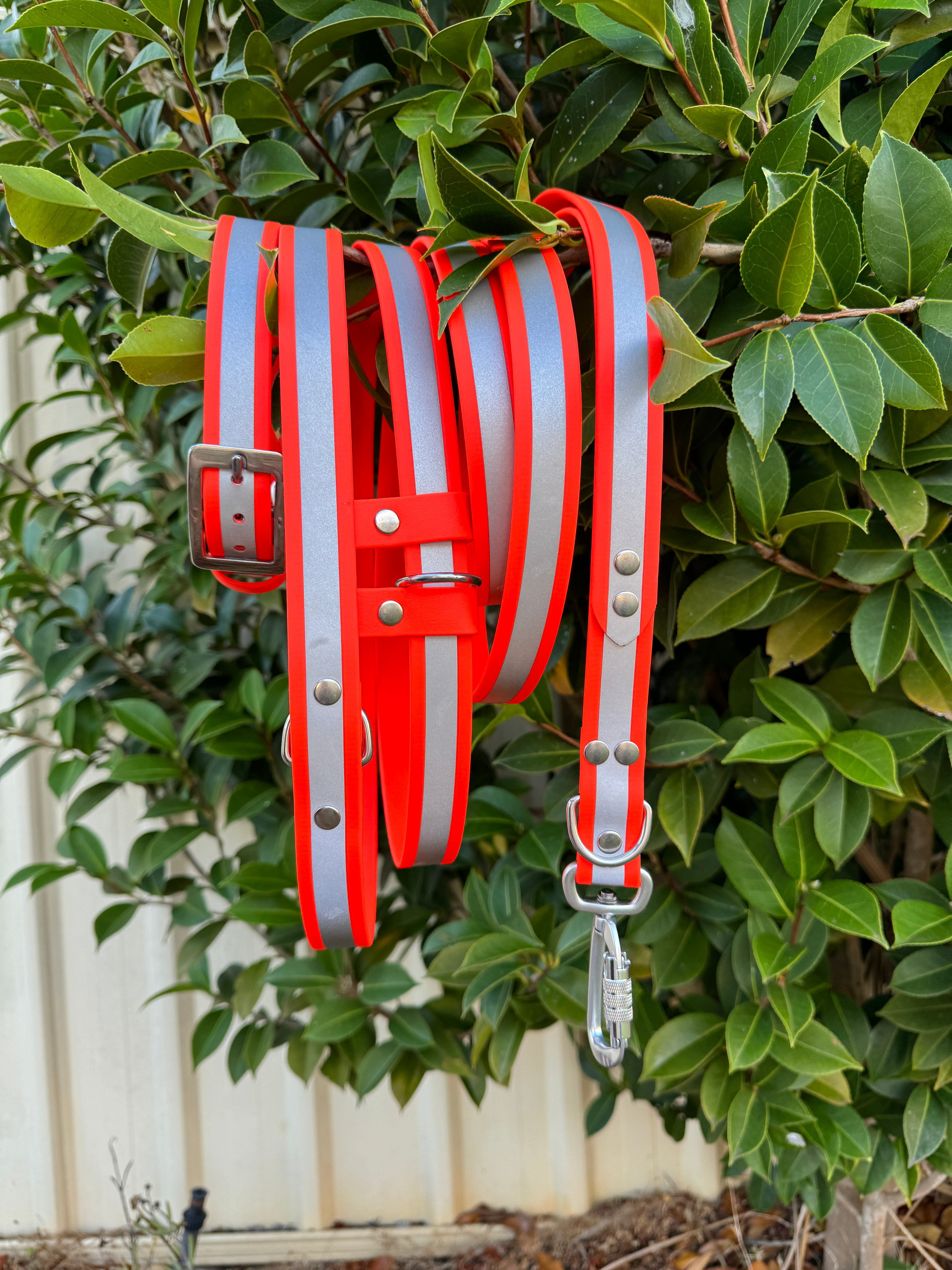 Reflective Dog Collar