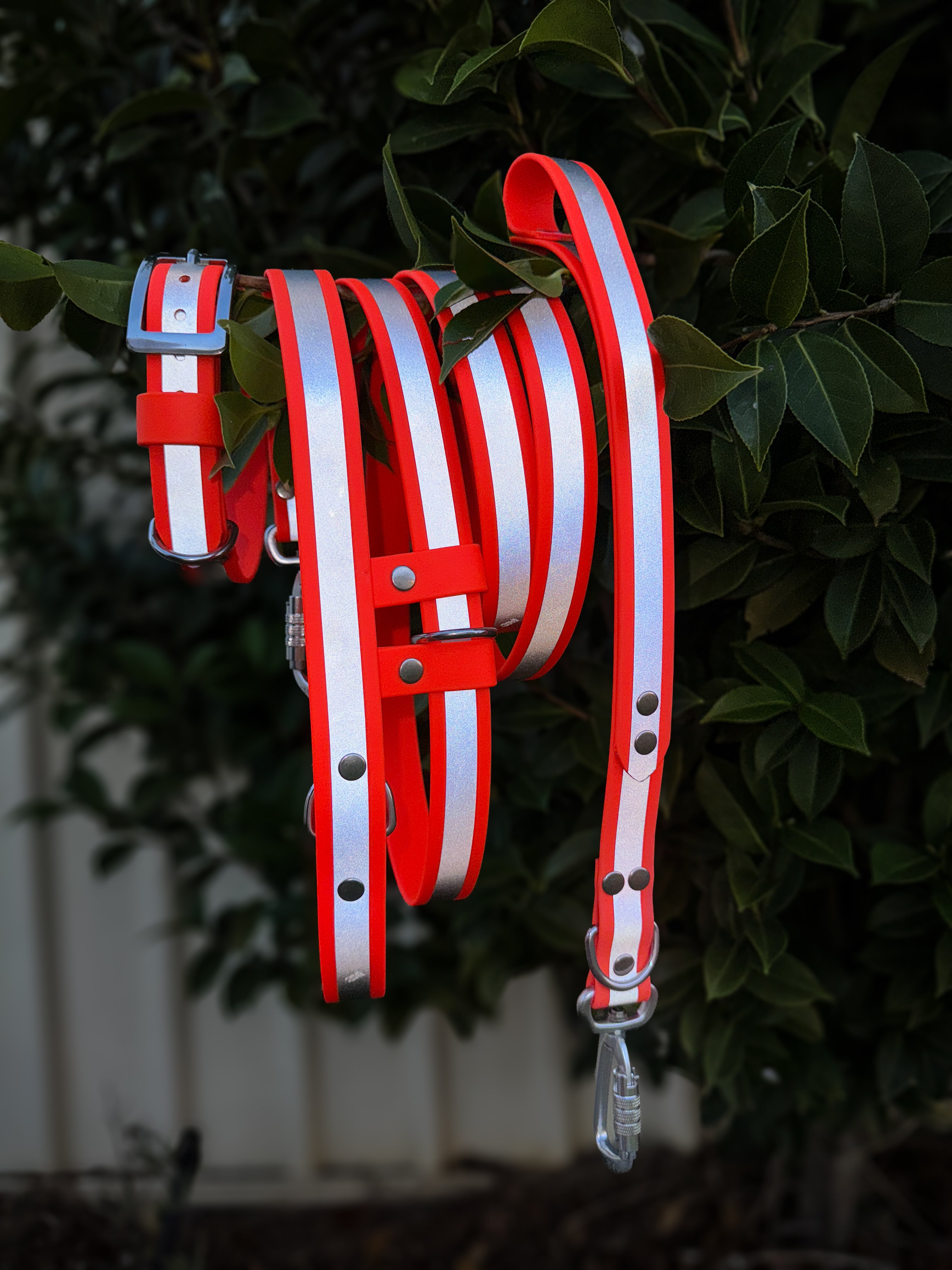 Reflective Dog Collar