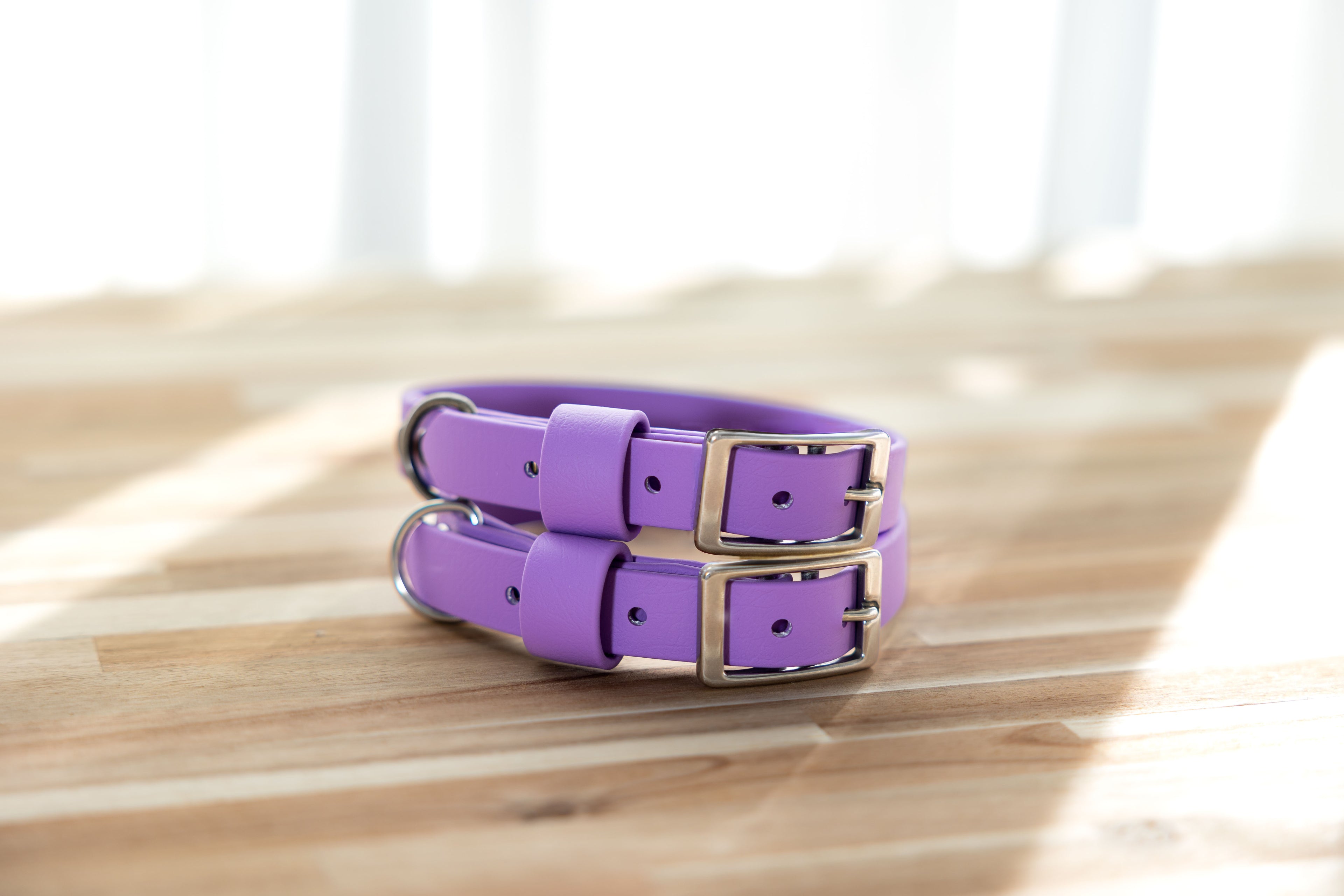 Waterproof BioThane® Dog Collar