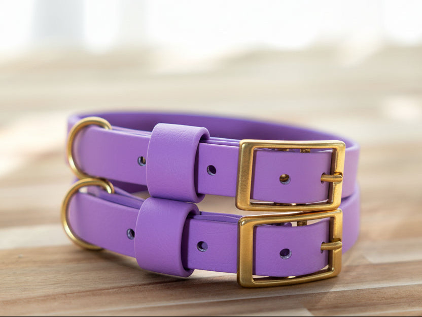 Waterproof Dog Collar - BioThane® Amethyst