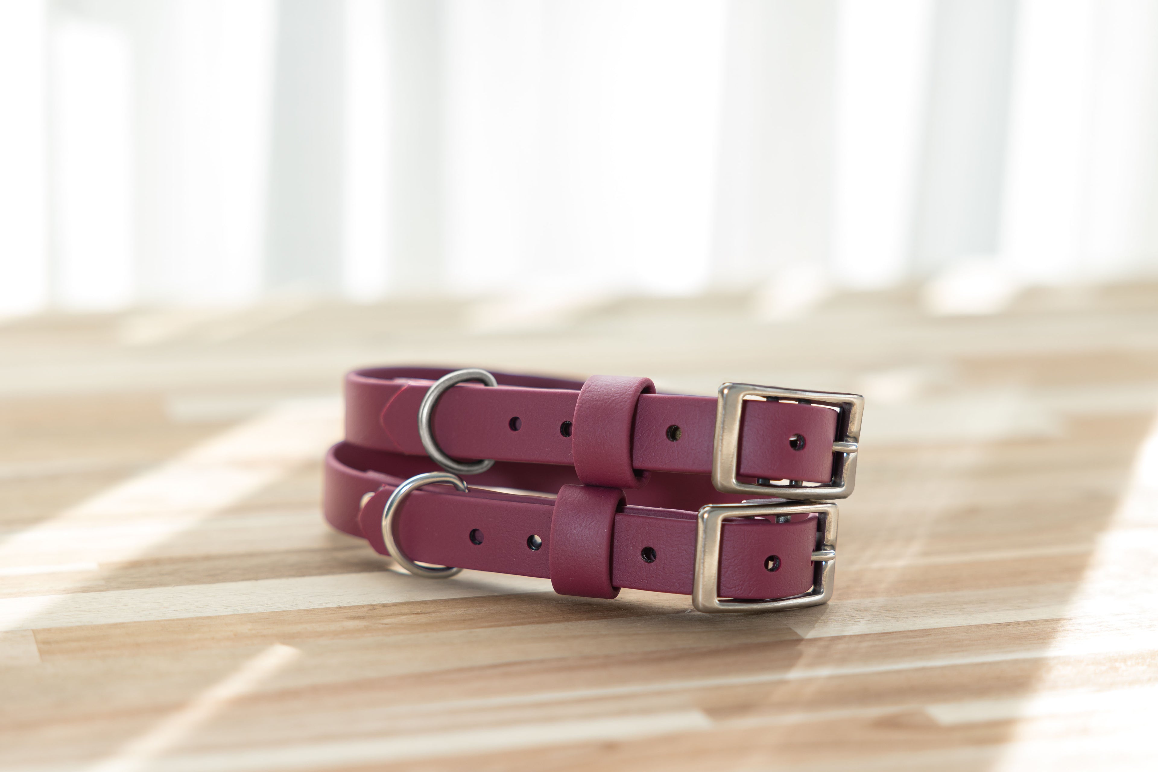 Waterproof BioThane® Dog Collar