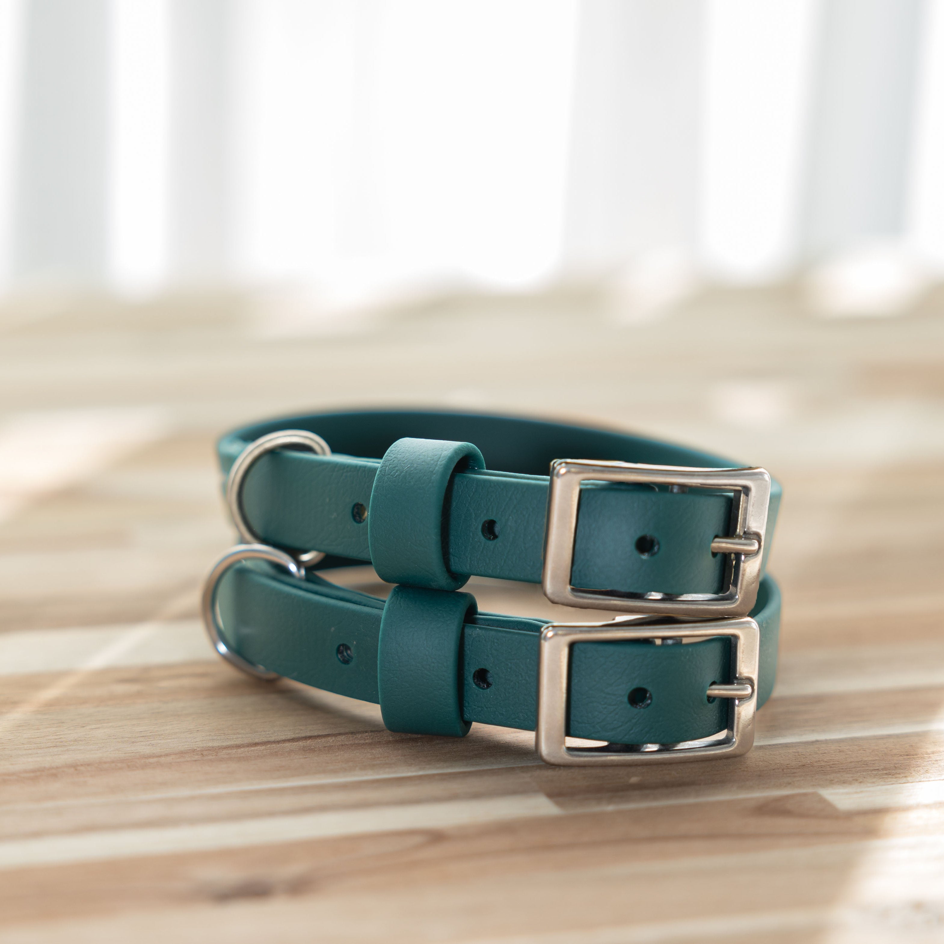 Waterproof Dog Collar - BioThane® Emerald
