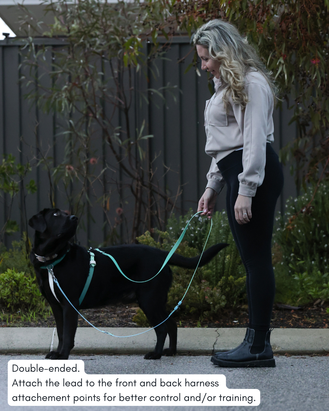 5 in 1 Multifunctional BioThane Dog Lead - Design Your Own