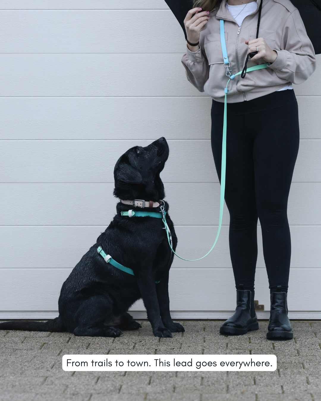 5 in 1 Multifunctional BioThane Dog Lead - Design Your Own