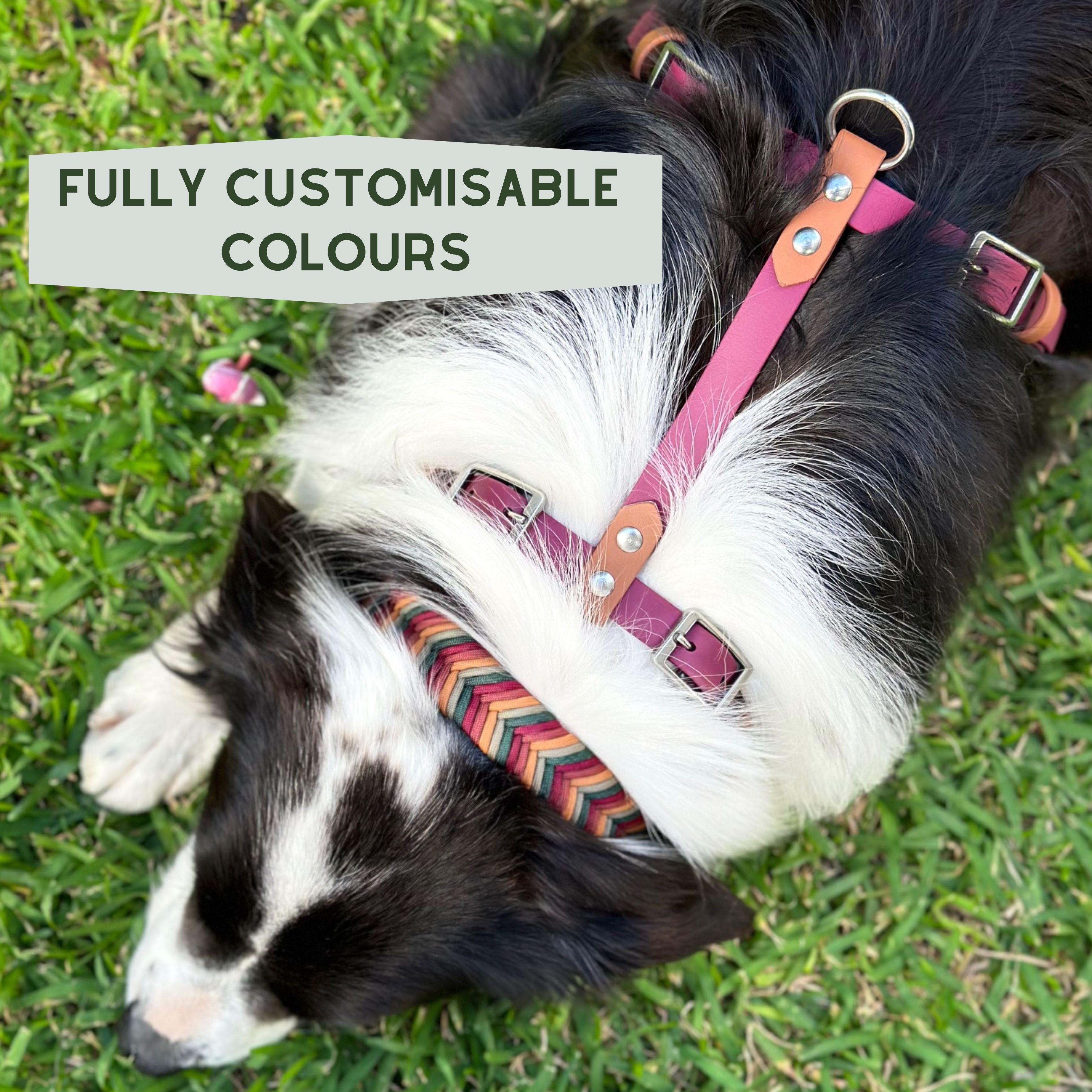 Dog Harness Handmade in Australia Afterpay available – Native