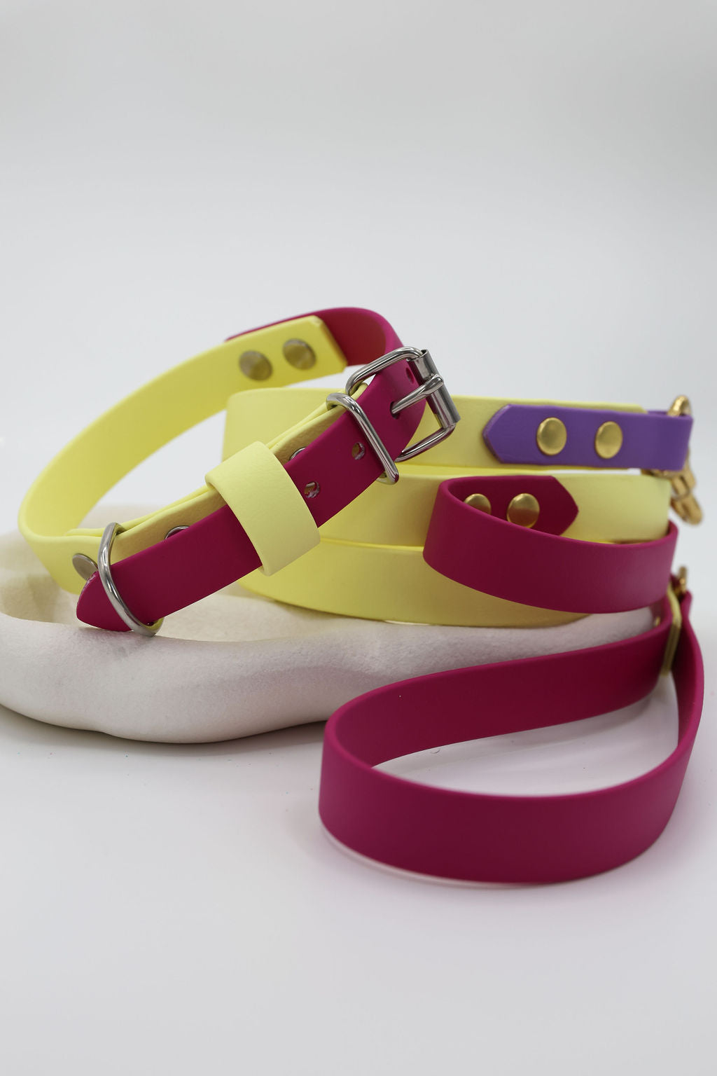 Rainbow Pop - Biothane Collar