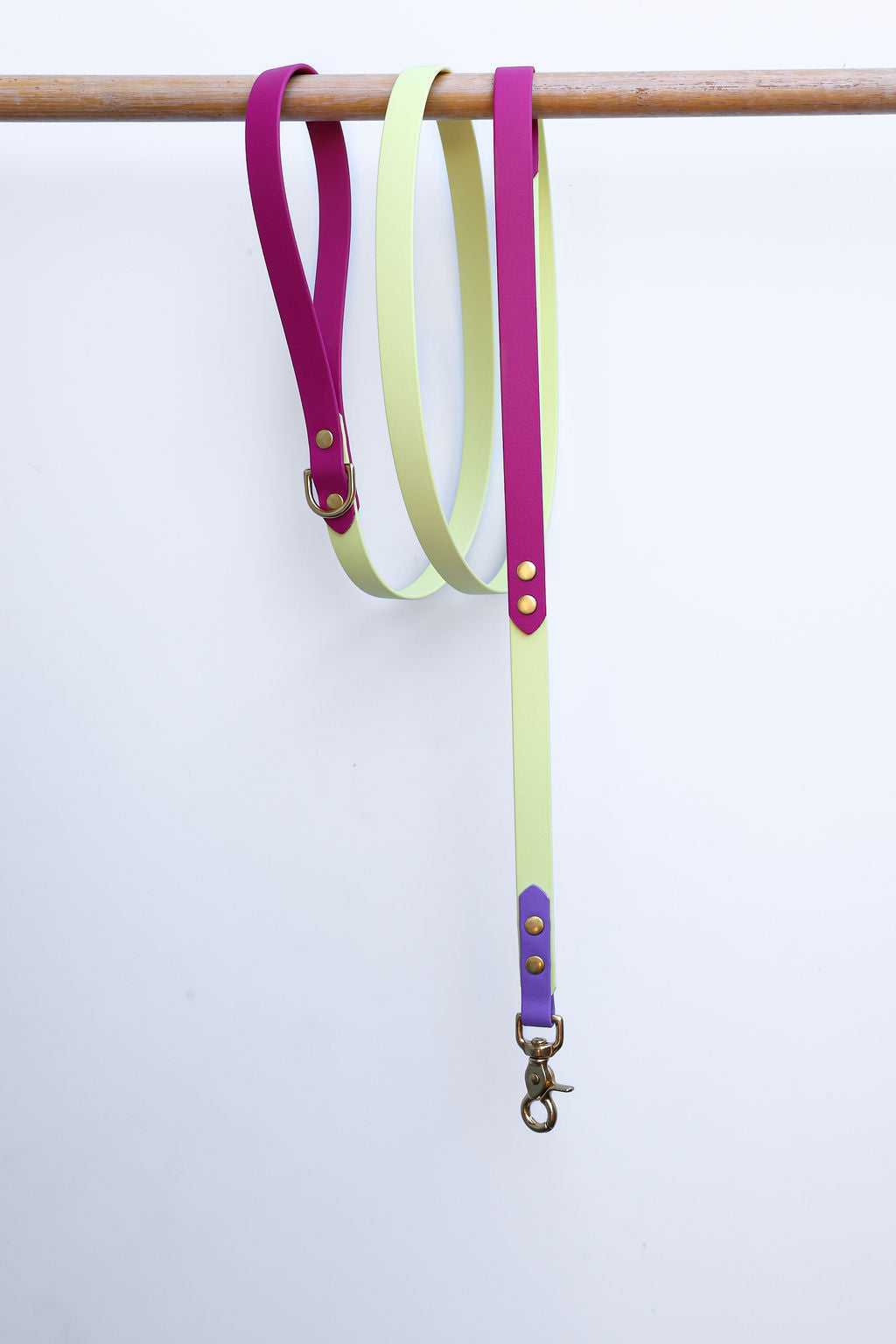 Rainbow Pop - Biothane Collar