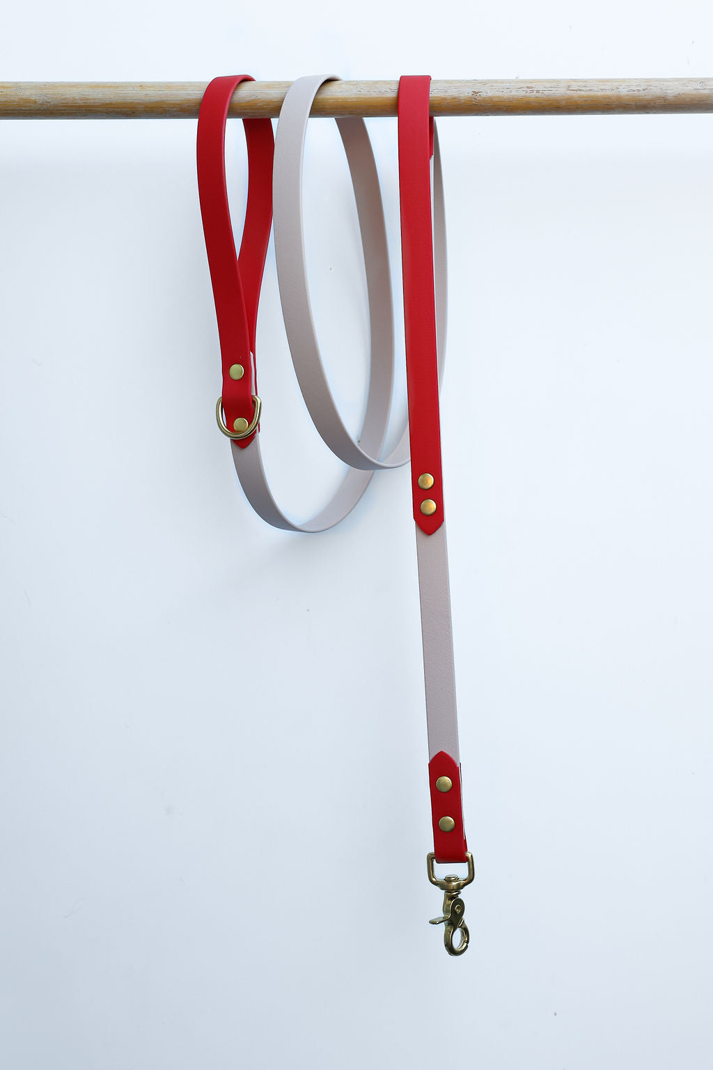 Sprinkle Joy Dog Collar