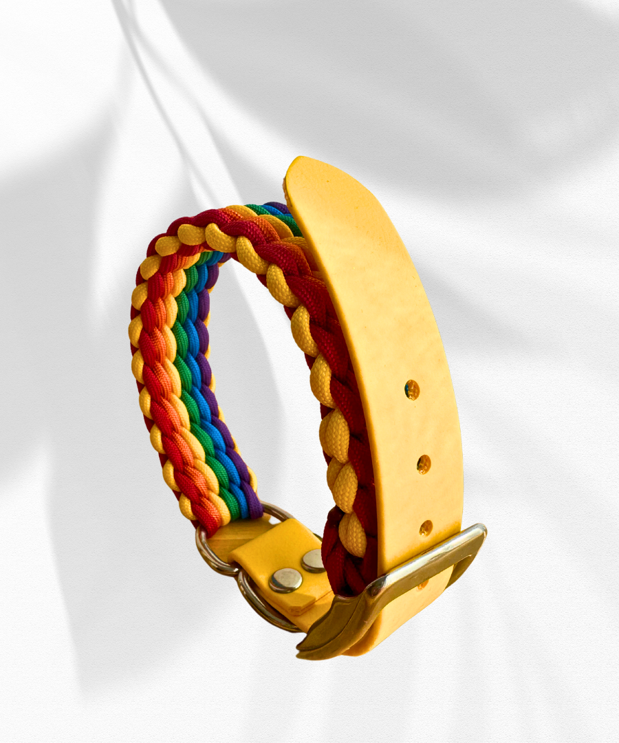 Love Wins Paracord Collar