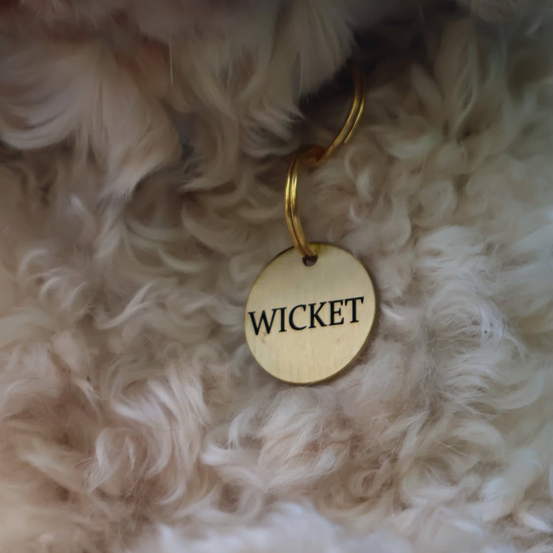 Native Dog Metal Tag - Wicket