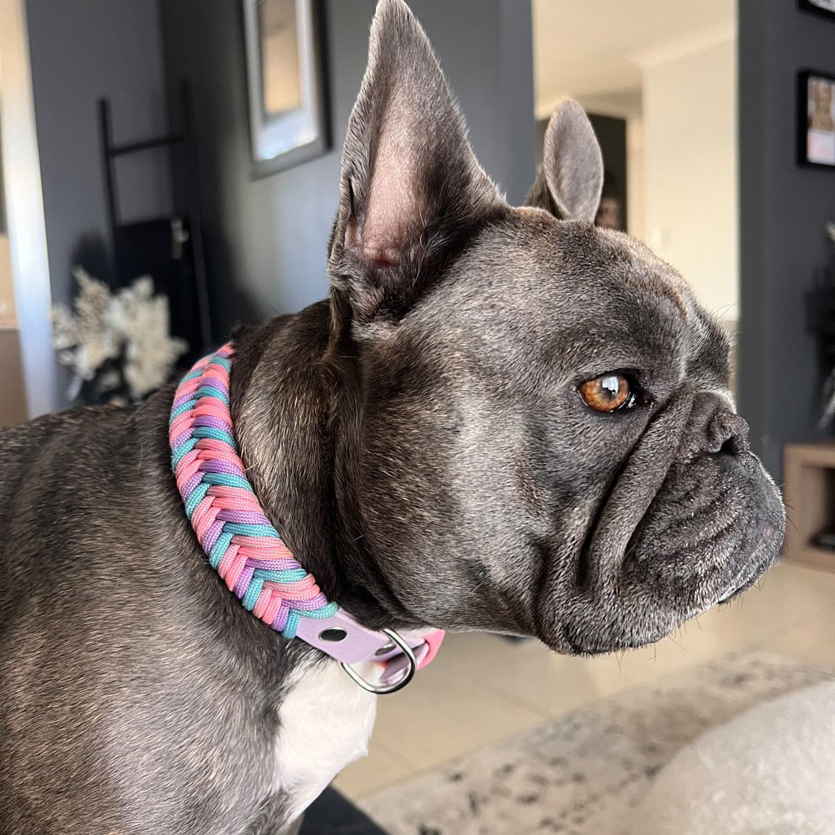 Custom Paracord Collar Wildwoods - Design your own!
