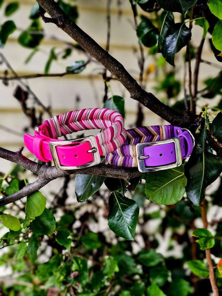 Custom Paracord Collar Wildwoods - Design your own!