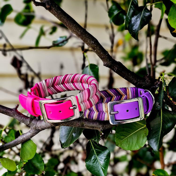 Custom Paracord Collar Wildwoods - Design your own!