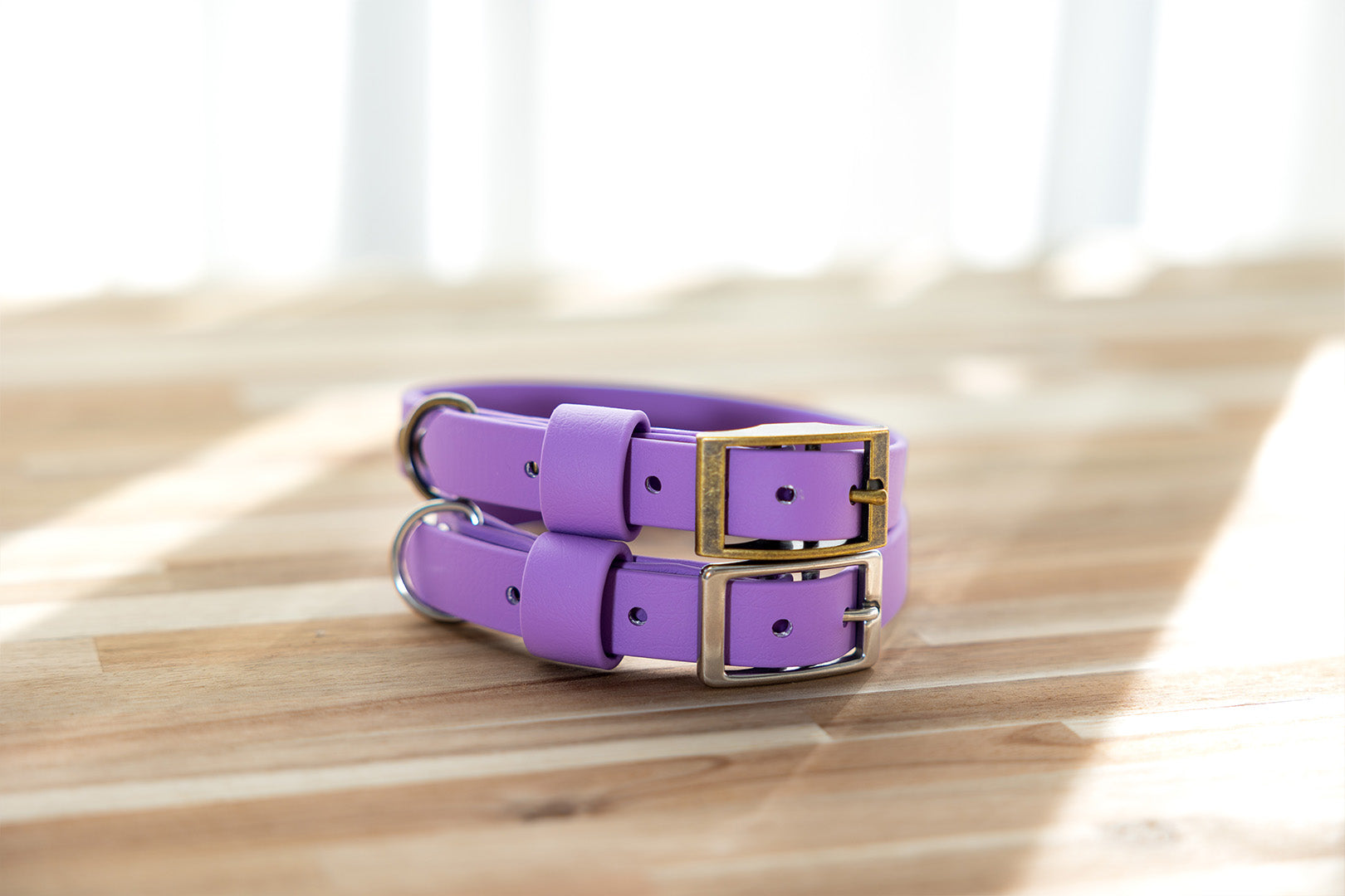 Amethyst-biothane-dog-collar-with-brass-hardware