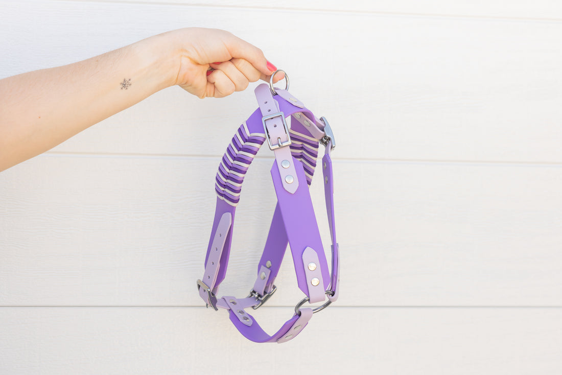 Custom BioThane Dog Harness &