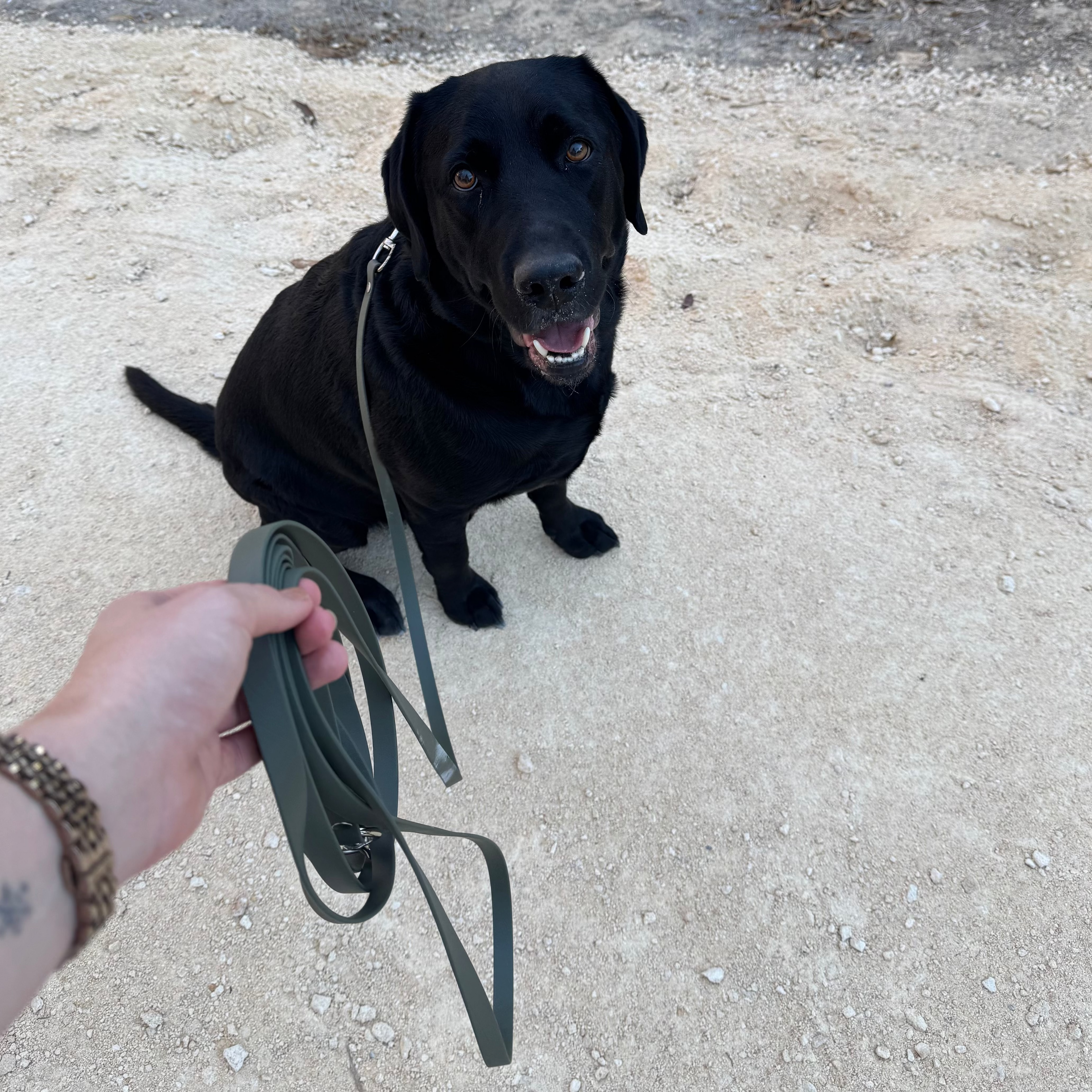 Long Line - BioThane® Leash