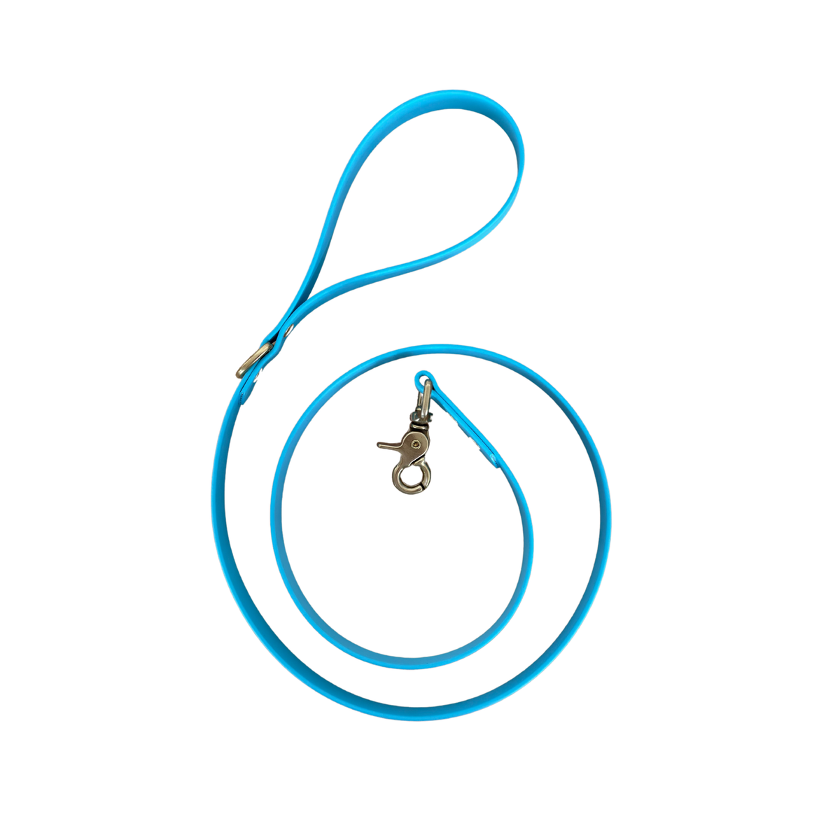 Waterproof BioThane® Dog Leash Light Blue