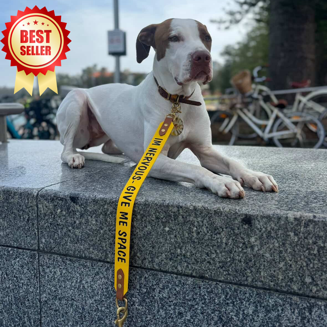 Custom print Leash extender