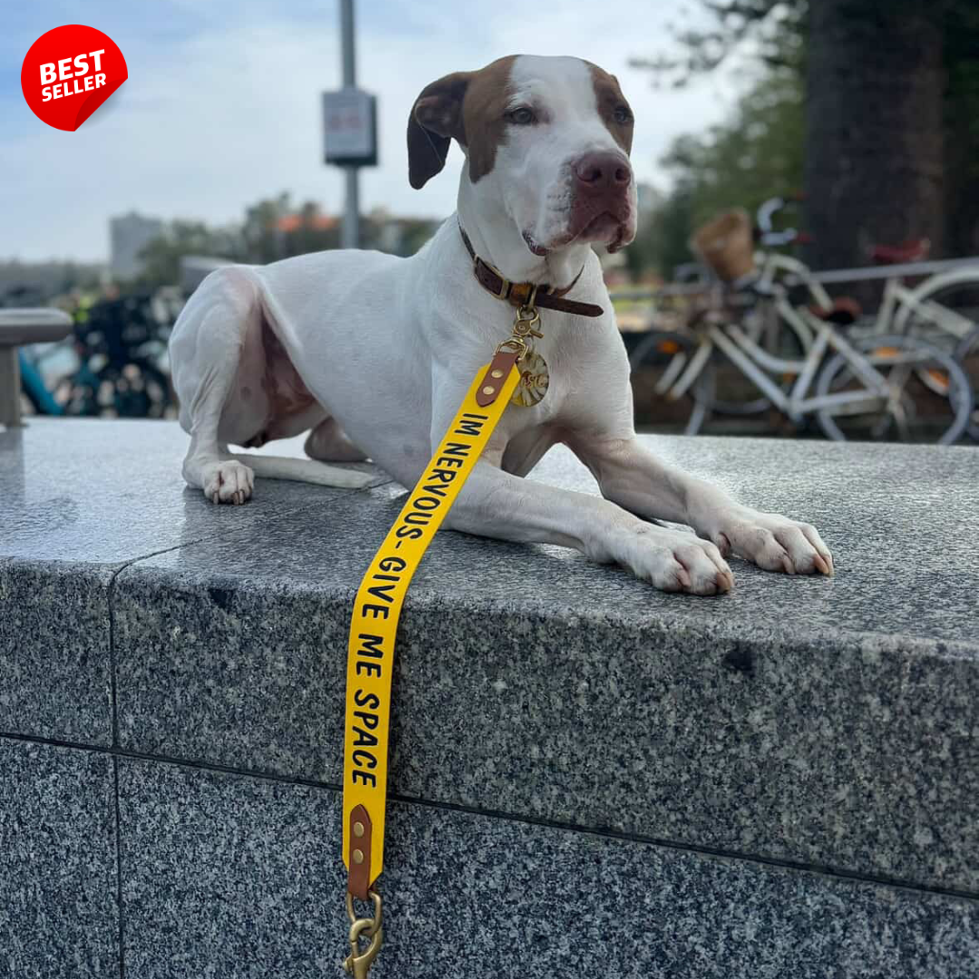 Custom print Leash extender
