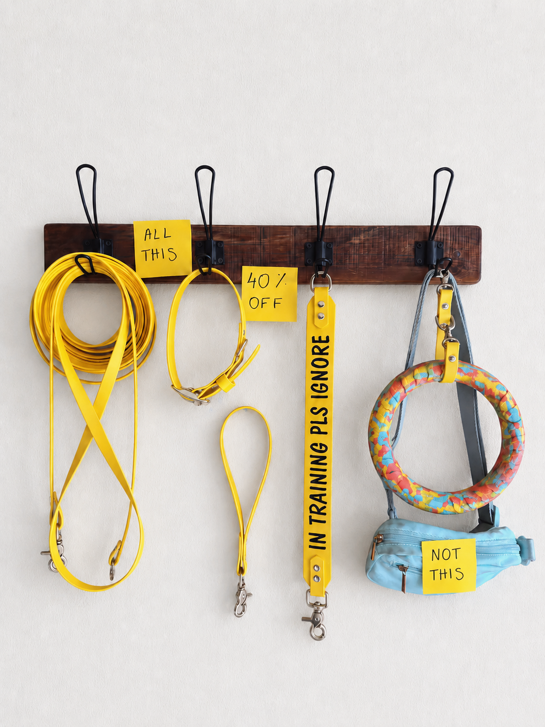 Complete Dog Training Bundle