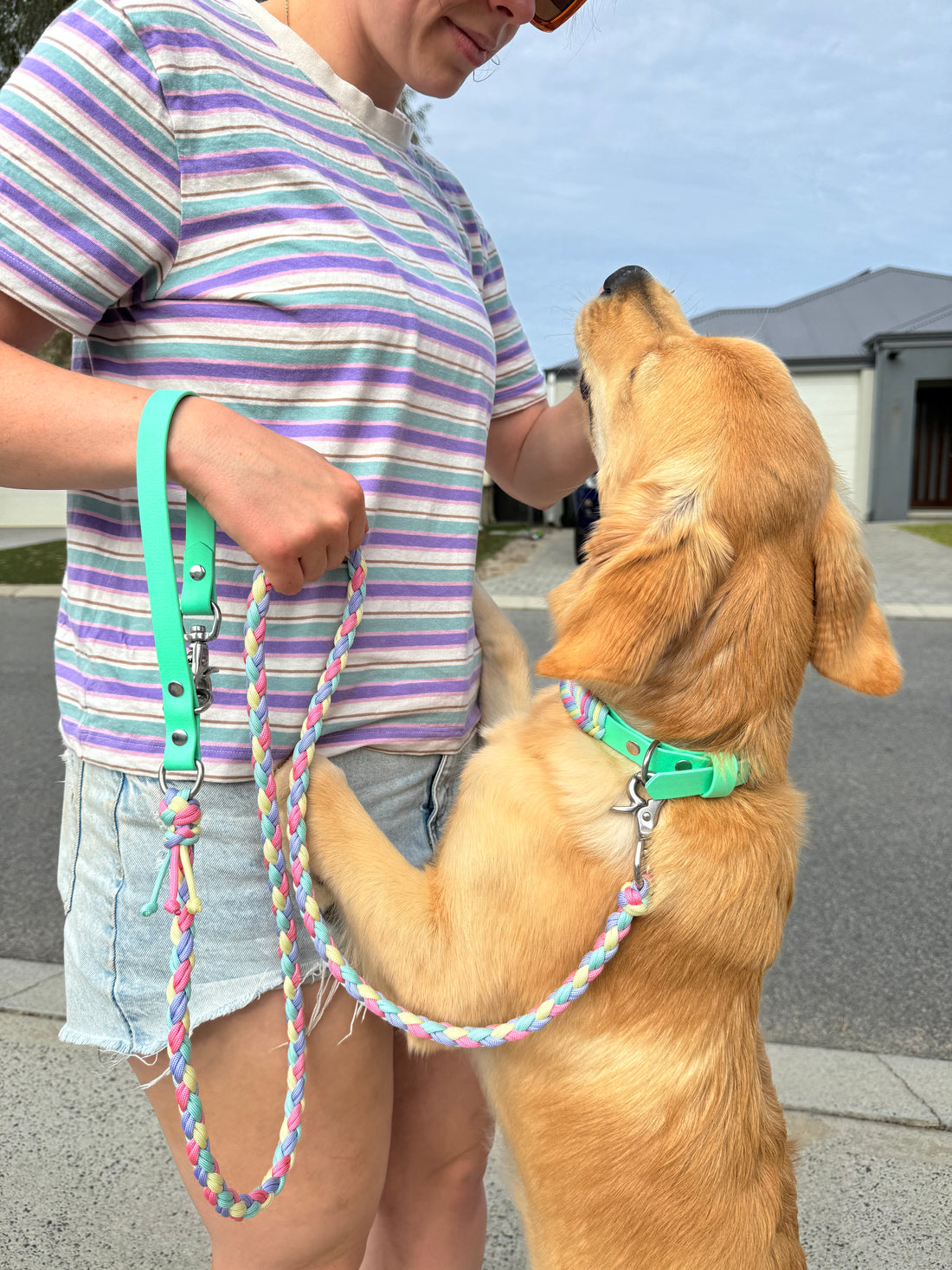 Easter Lead with Biothane Handle - 1.5m length