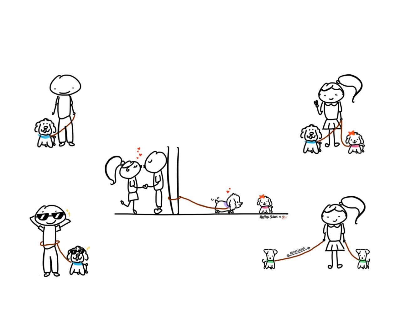 Native - 5 in 1 Multifunctional BioThane Dog Lead