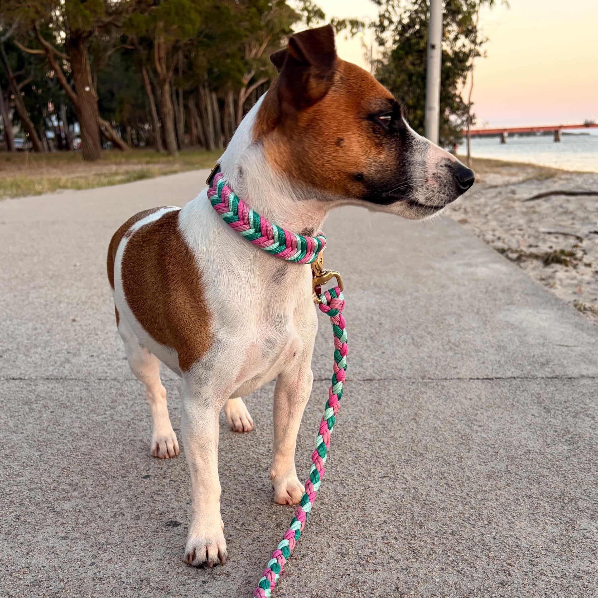 Wicked Leash with Biothane Handle - 1.2m length