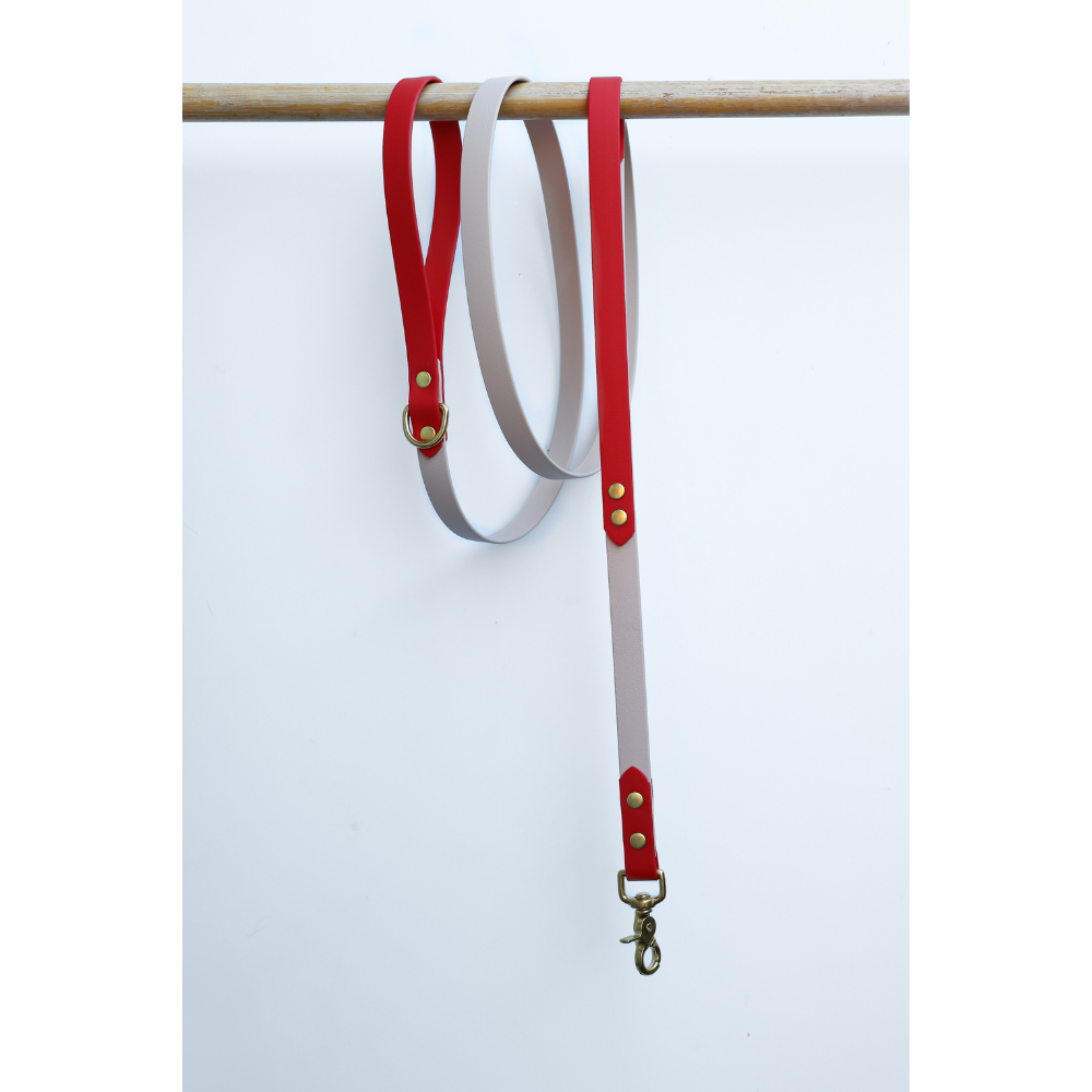 Red and beige BioThane dog leash with brass hardware on a white background