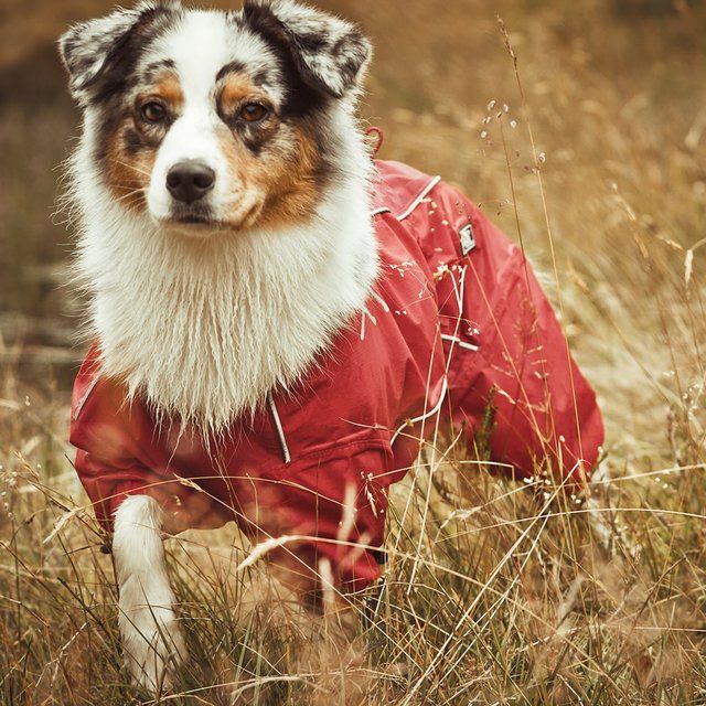 Hurtta Outdoor Overall