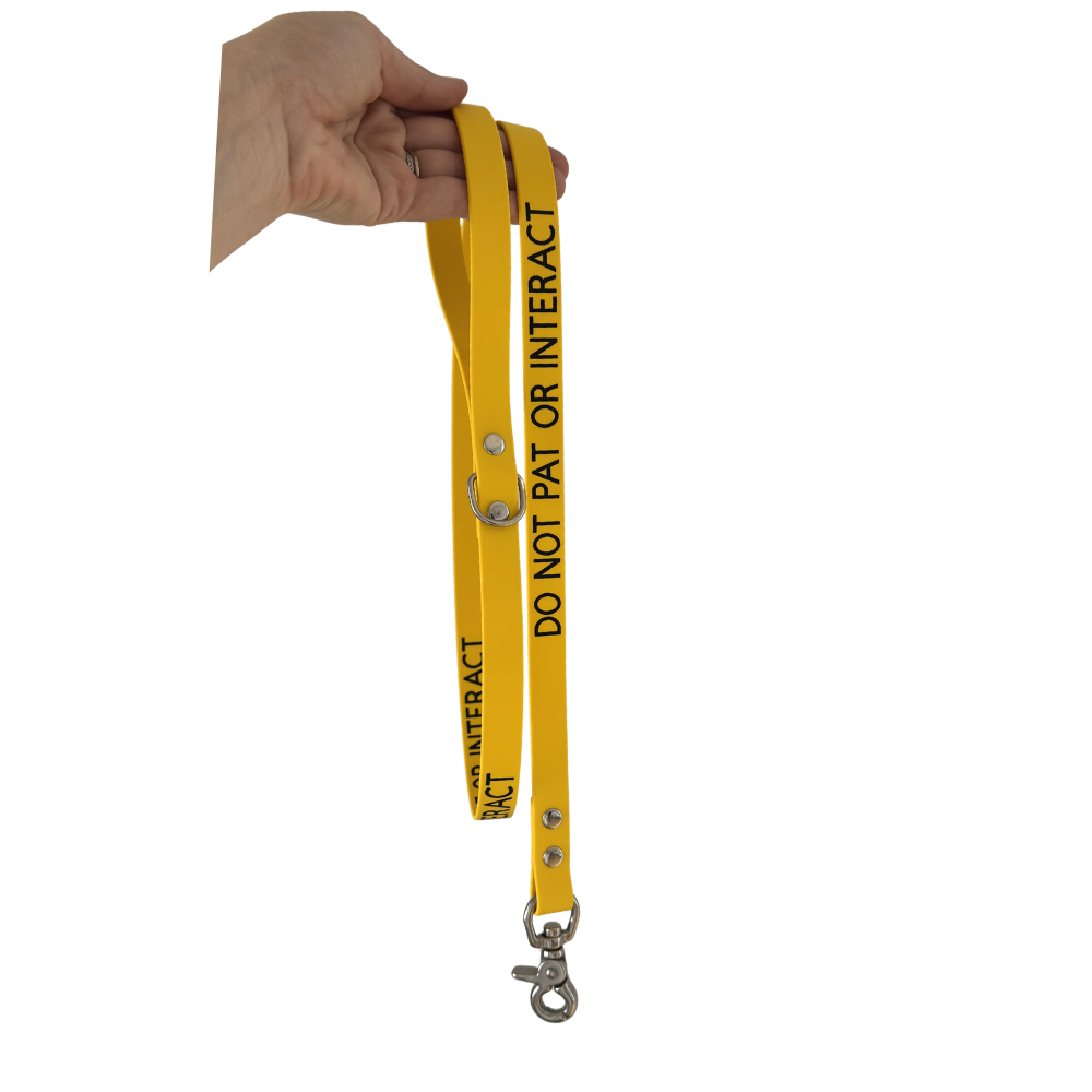 Custom Print Dog Leash