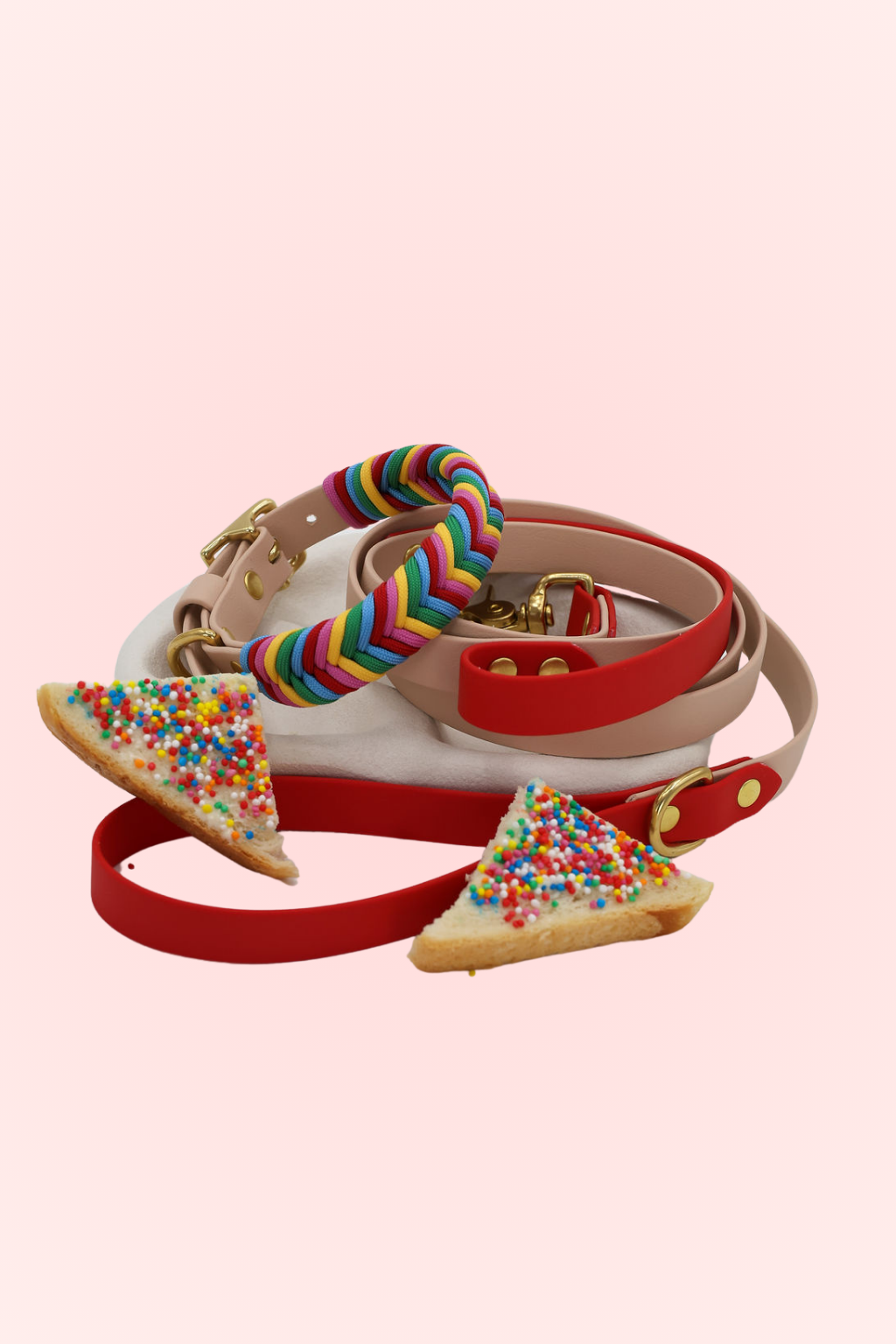 A set of dog walking accessories including a red and multicolor striped collar and a matching leash, with stainless steel hardware, displayed against a neutral background.