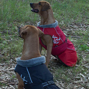 Hurtta Raincoat