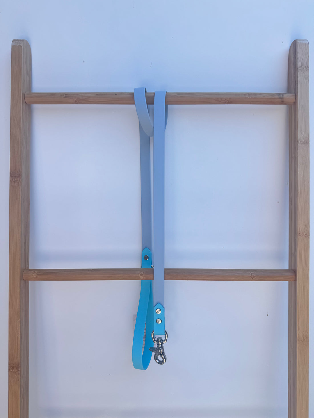 Pastel Blue/Light Blue Standard 1.2m Lead