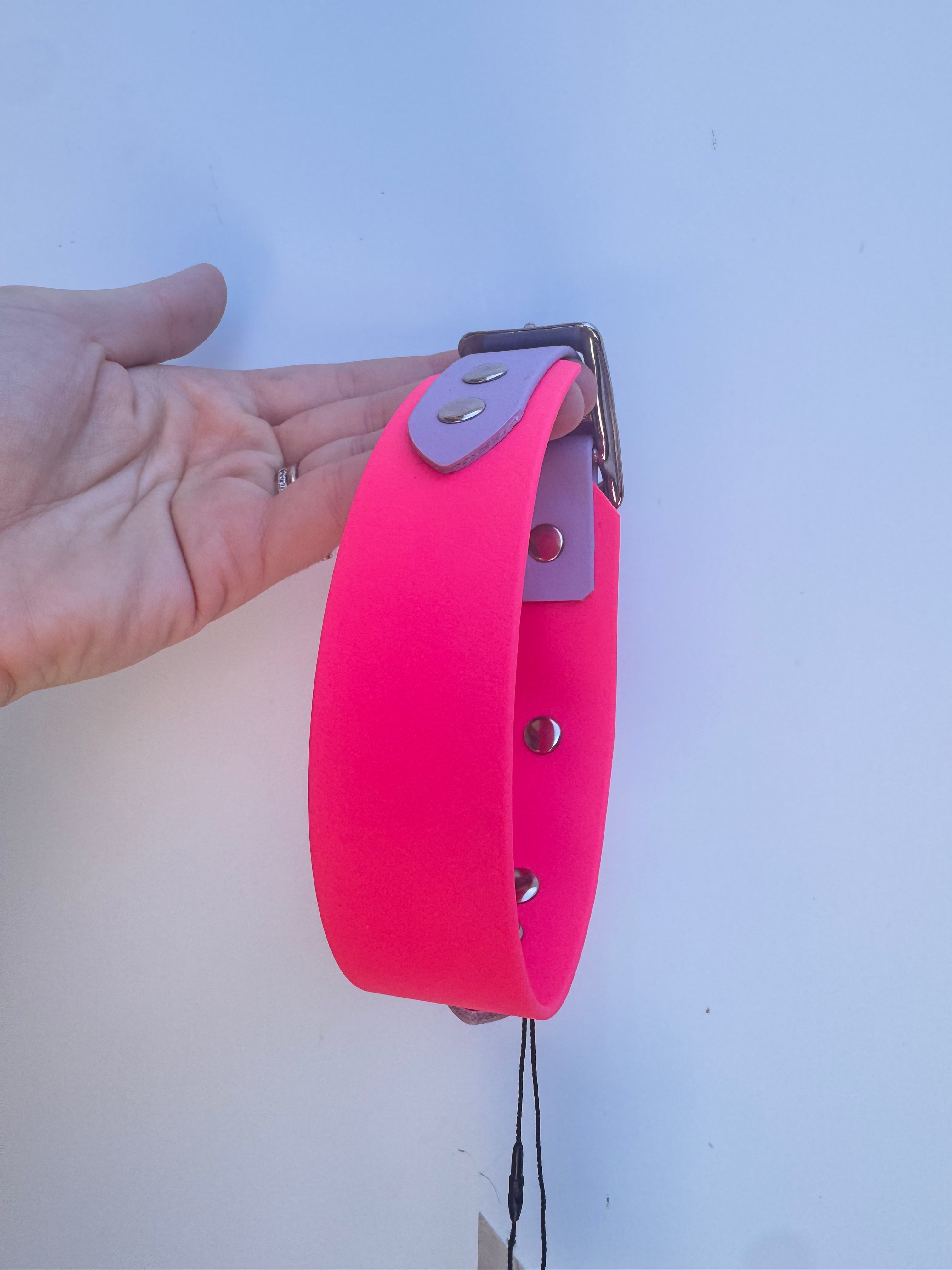 M (34cm-41 neck) Neon Pink and Pastel purple collar (3.8cm wide)