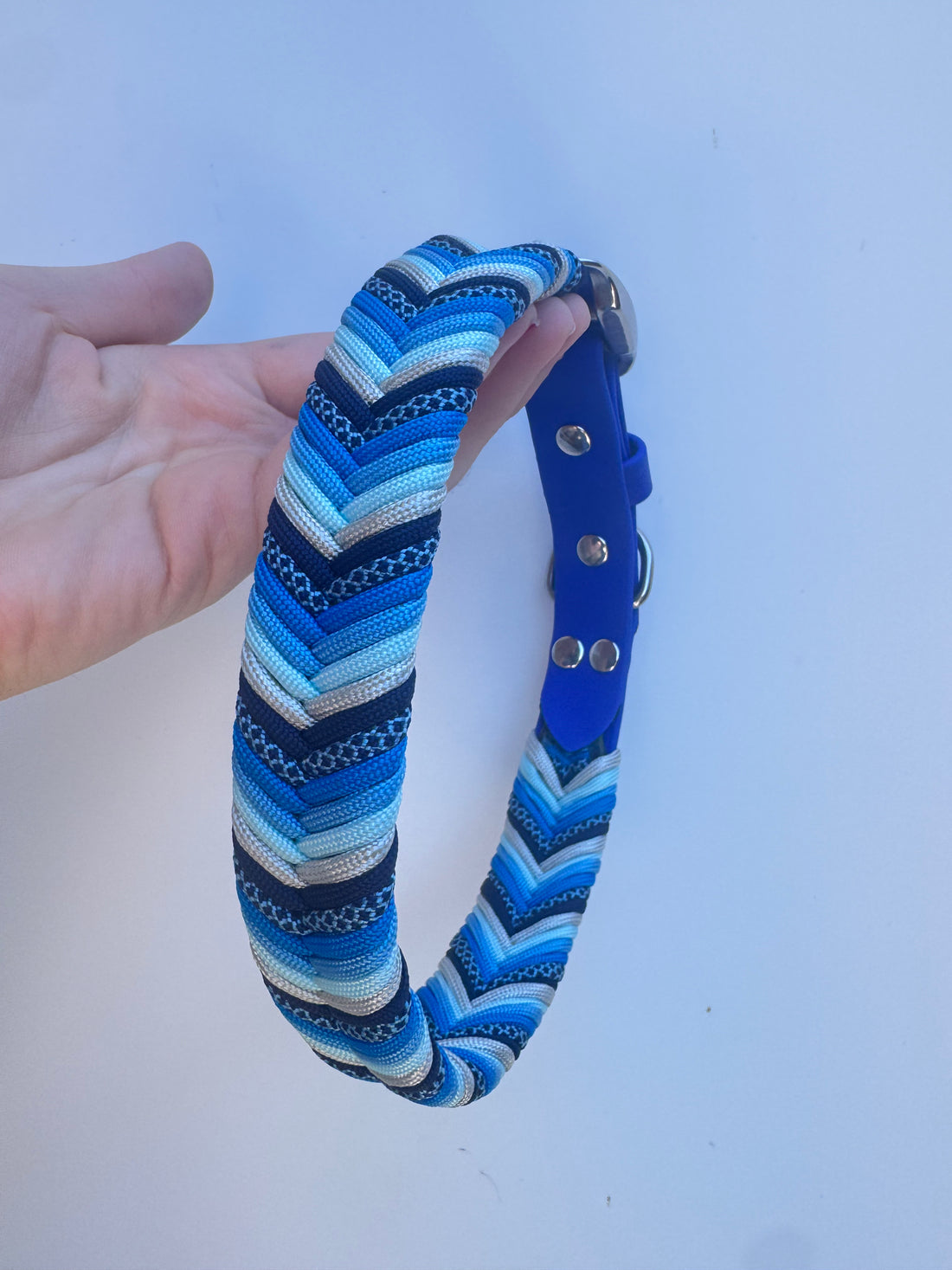 XXL (49-55m neck) Royal Blue Wildwoods Collar (2.5cm wide)
