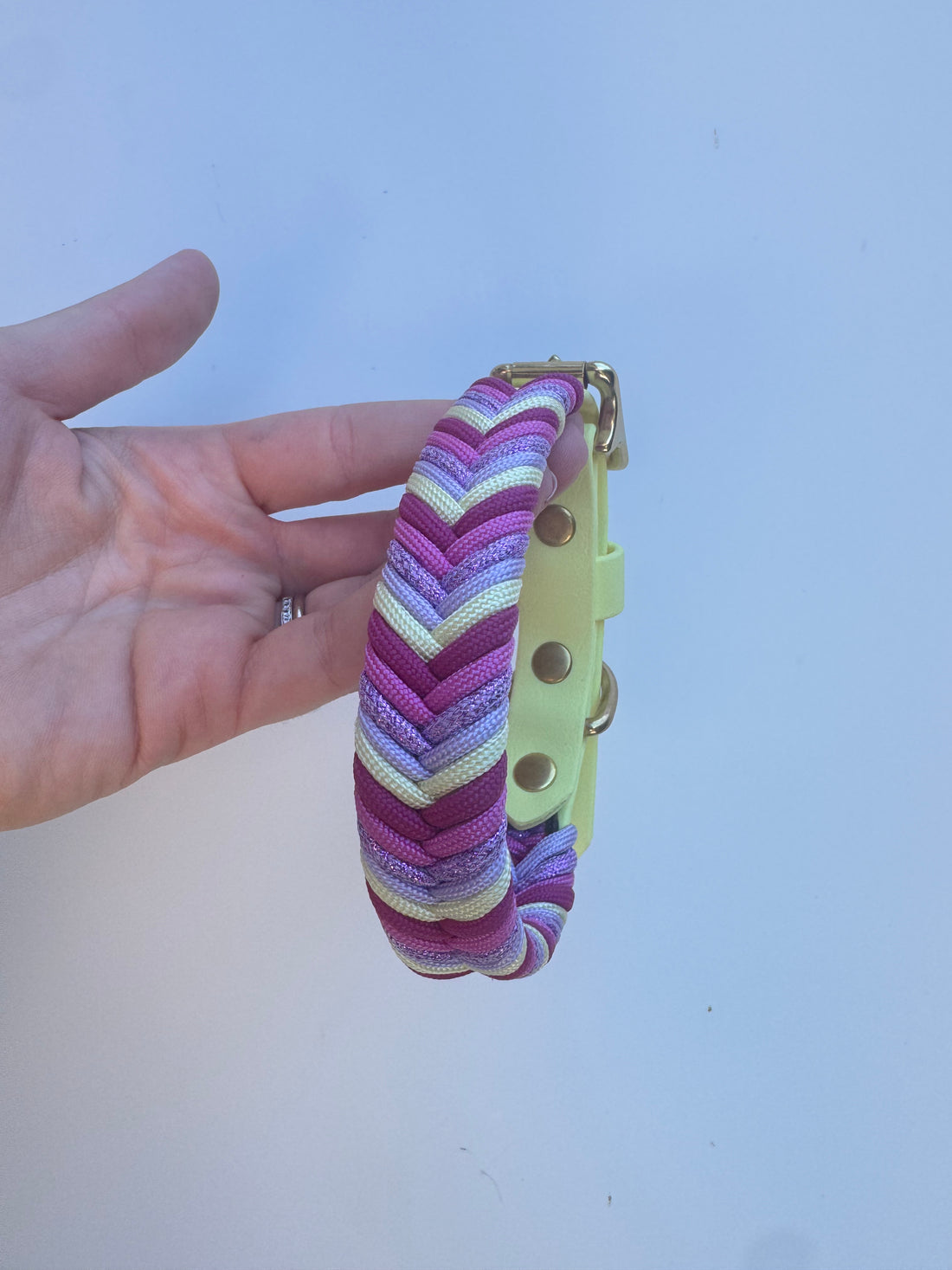 S (30-37m neck) Pastel Yellow Wildwoods Collar (1.9cm wide) Brass Hardware