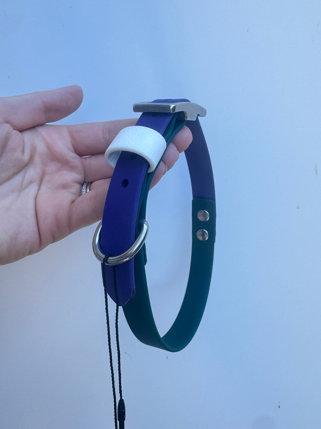 L (40-47cm neck) Emerald/Purple/White collar (1.9cm wide)