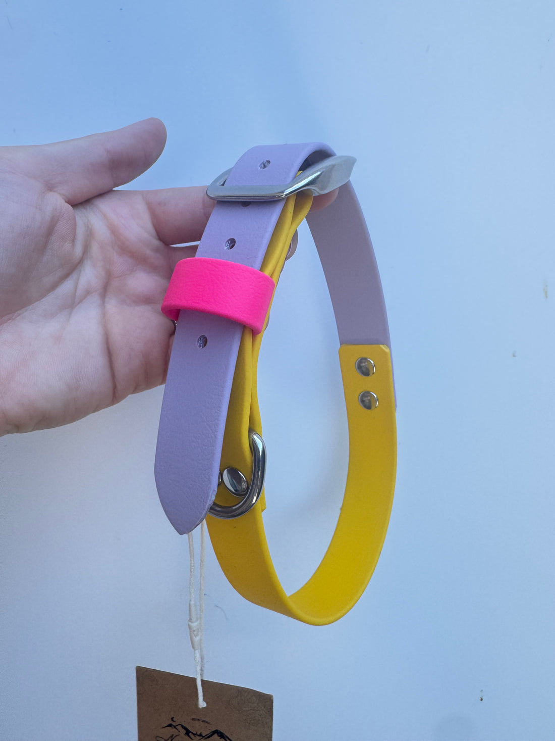 XL (43-52m neck) Yellow/Pastel Purple/Passion Pink (2.5cm wide)