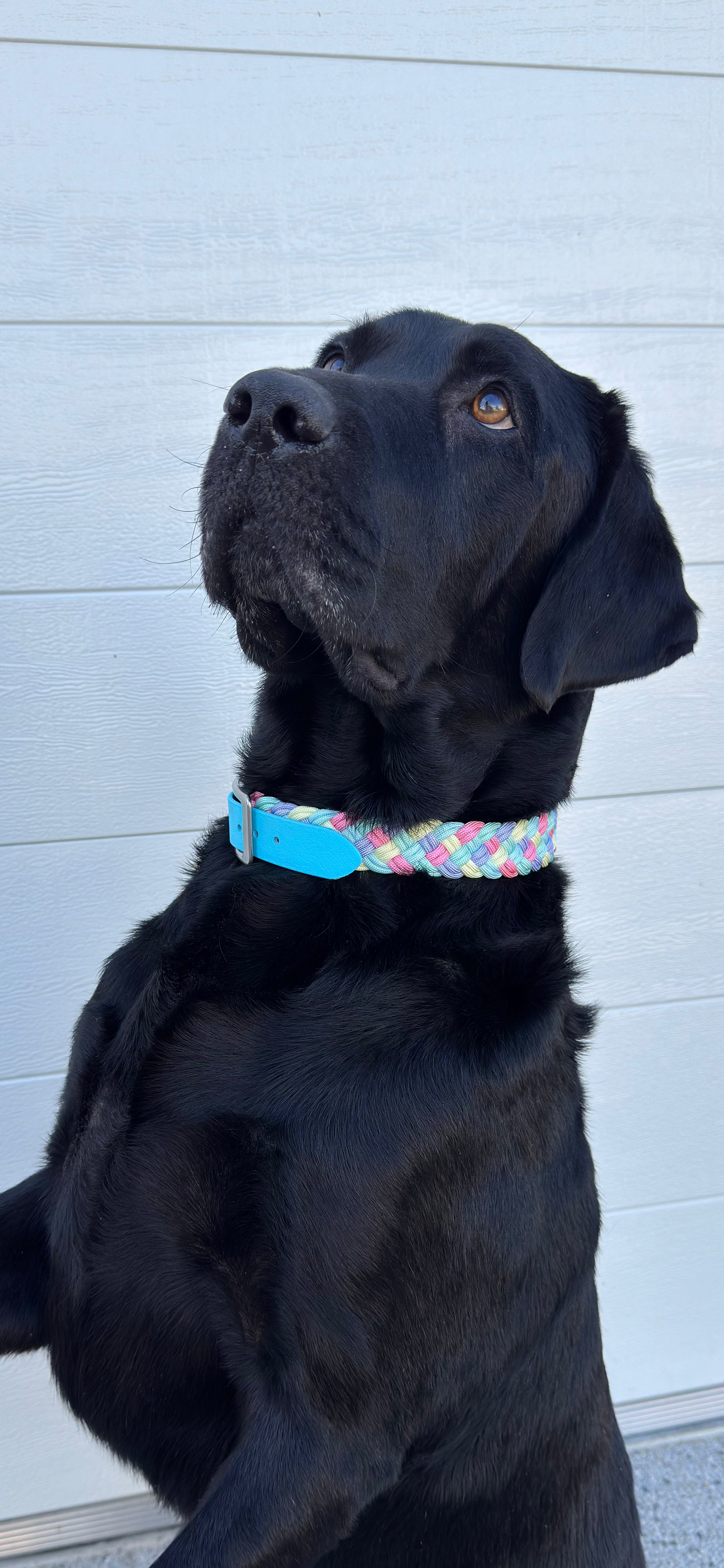 Hop and Hydrate Bundle - Limited Edition