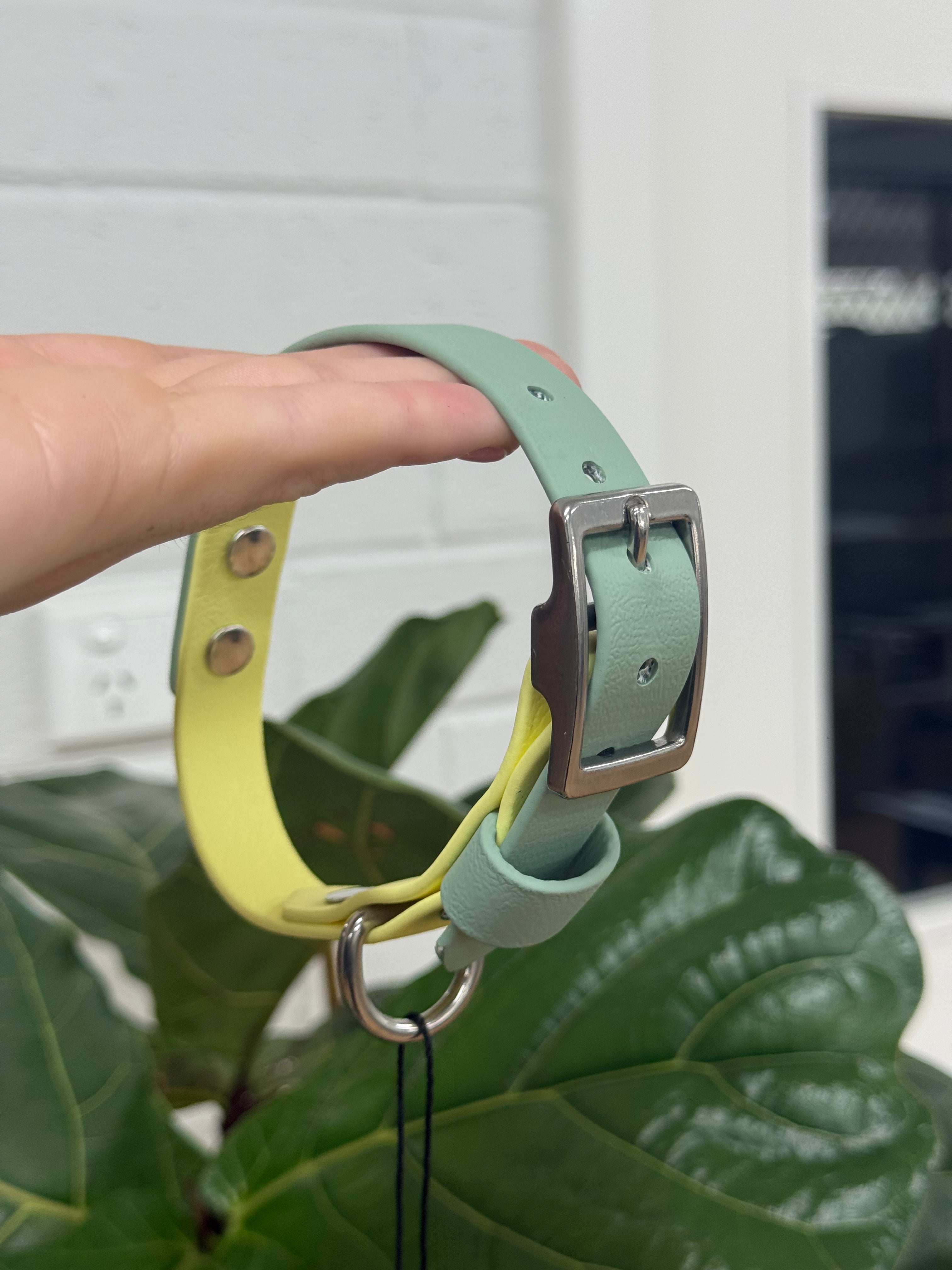 Paracord Collar - Small