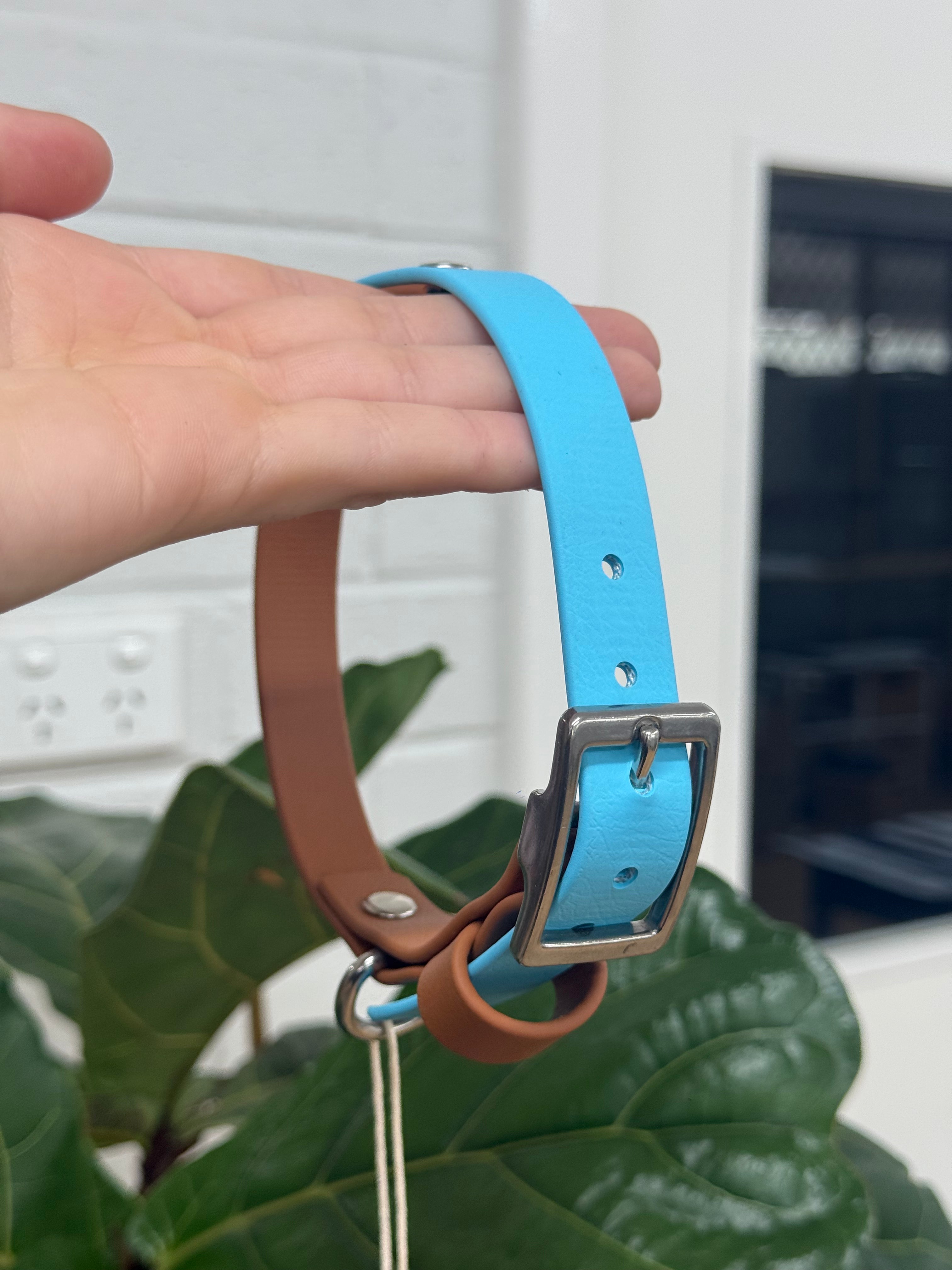 Paracord Collar - Medium