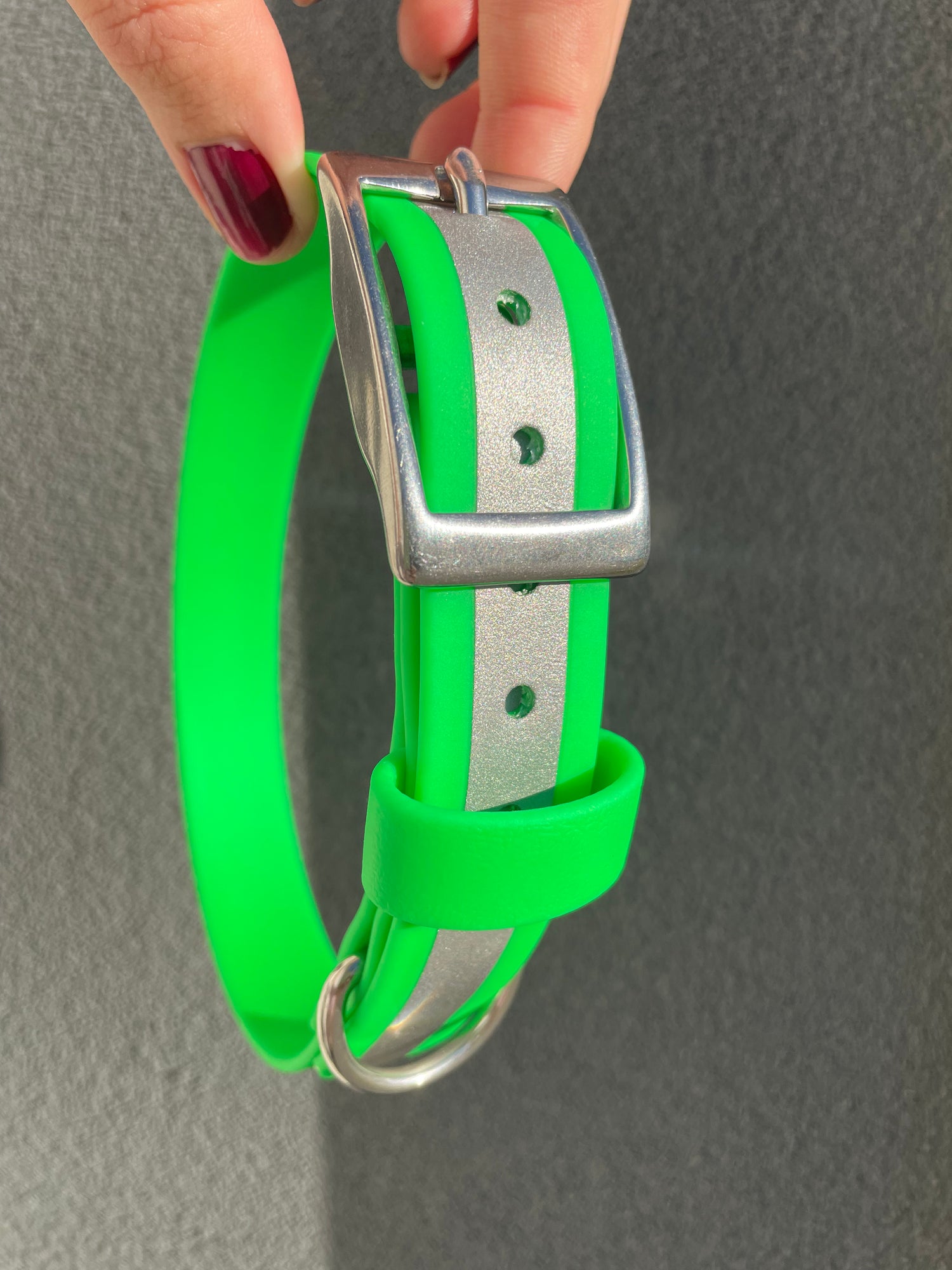Reflective Dog Collar